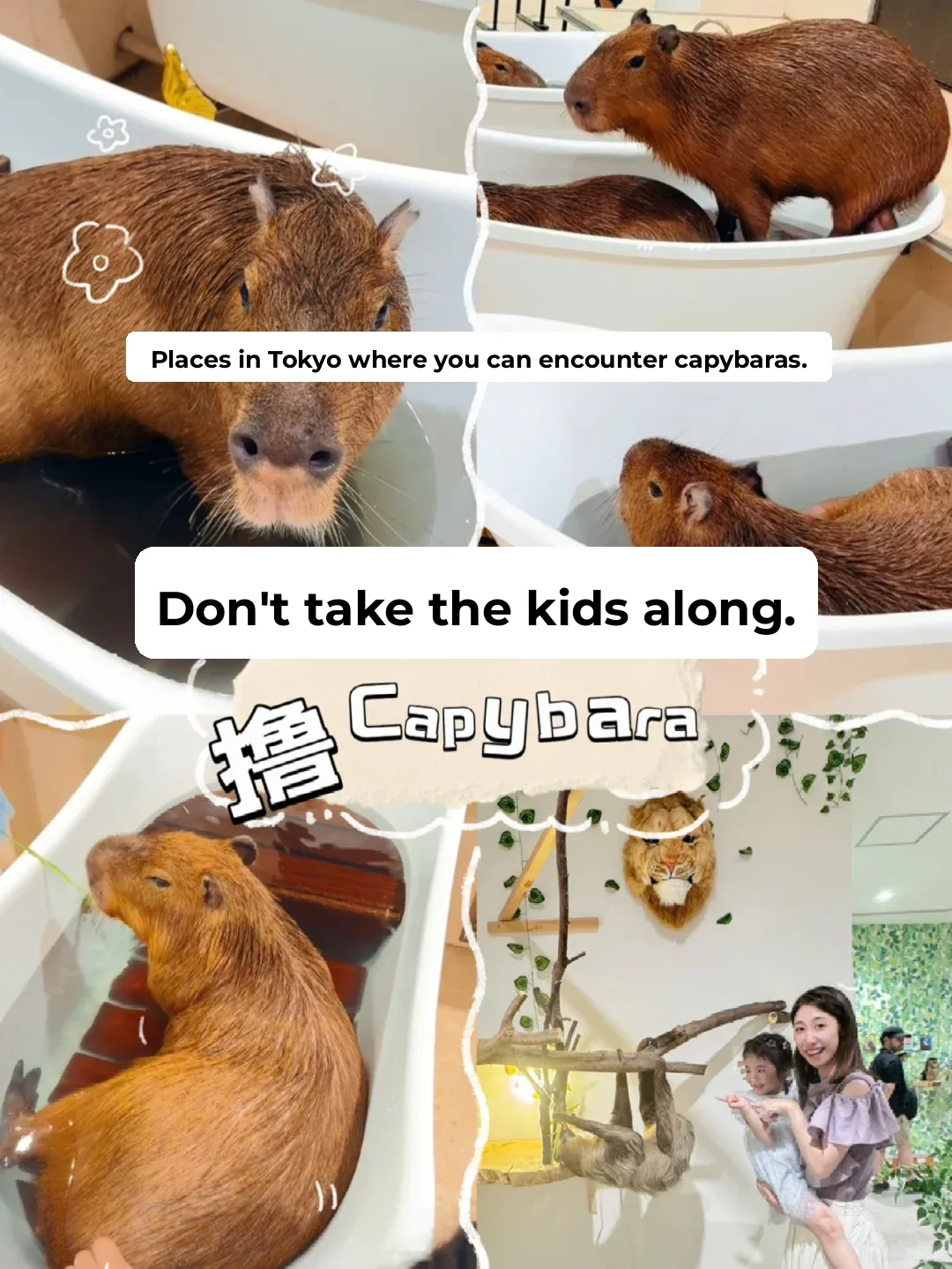 Summer Outings with Kids | Avoid Taking Your Little Ones to the Mall to Pet Capybaras