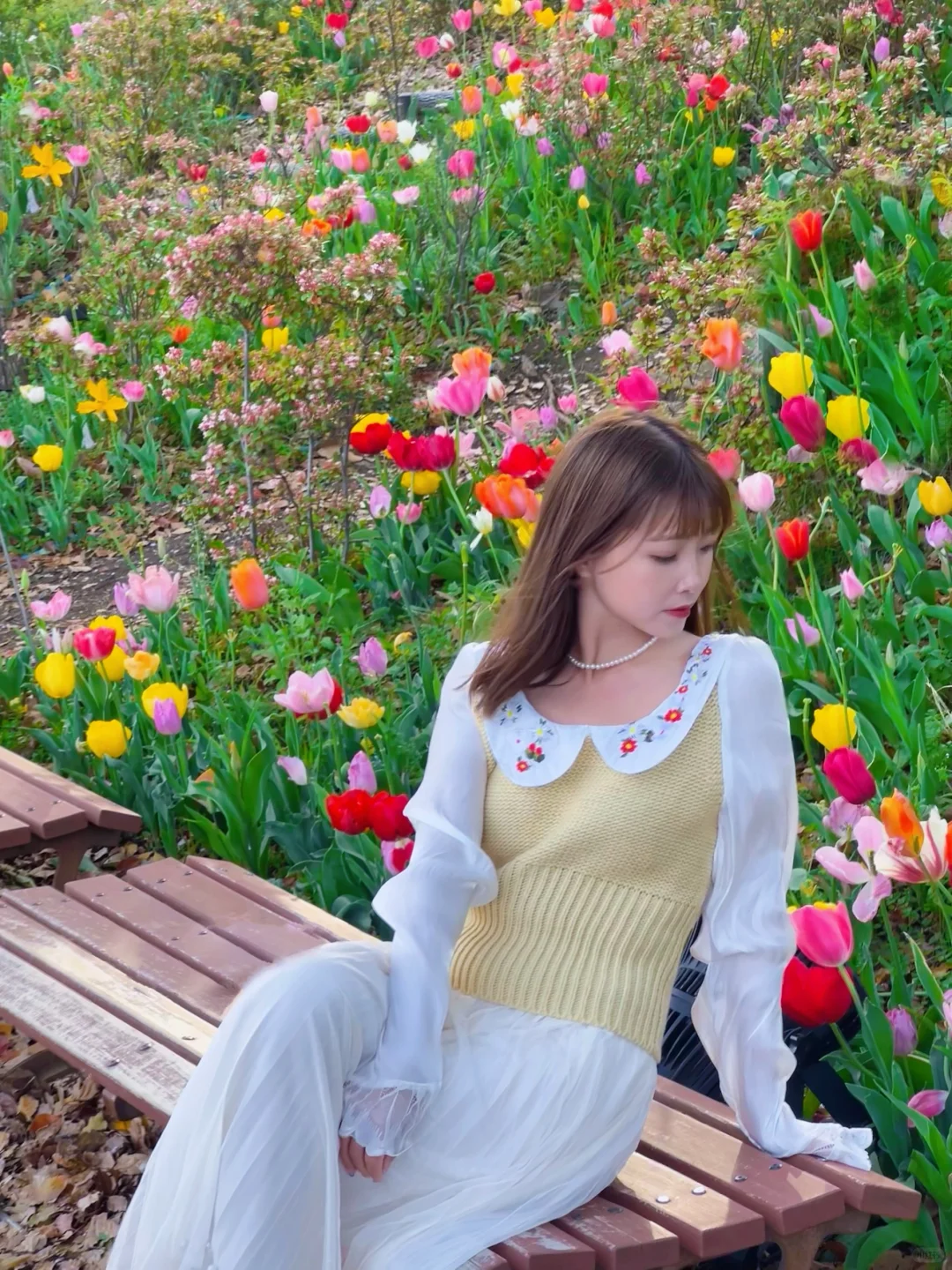 🇯🇵 Tokyo | I Declare This the Most Beautiful Spring in Tokyo 🌷