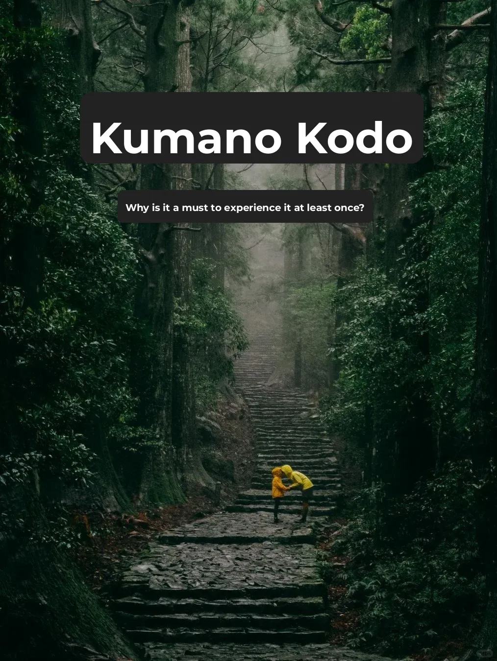 Why Must You Hike the Kumano Kodo Trail at Least Once?