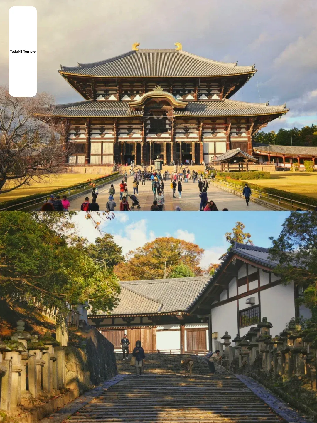 Rarely Open Japanese Museums 📢 A Must-Visit in Kansai