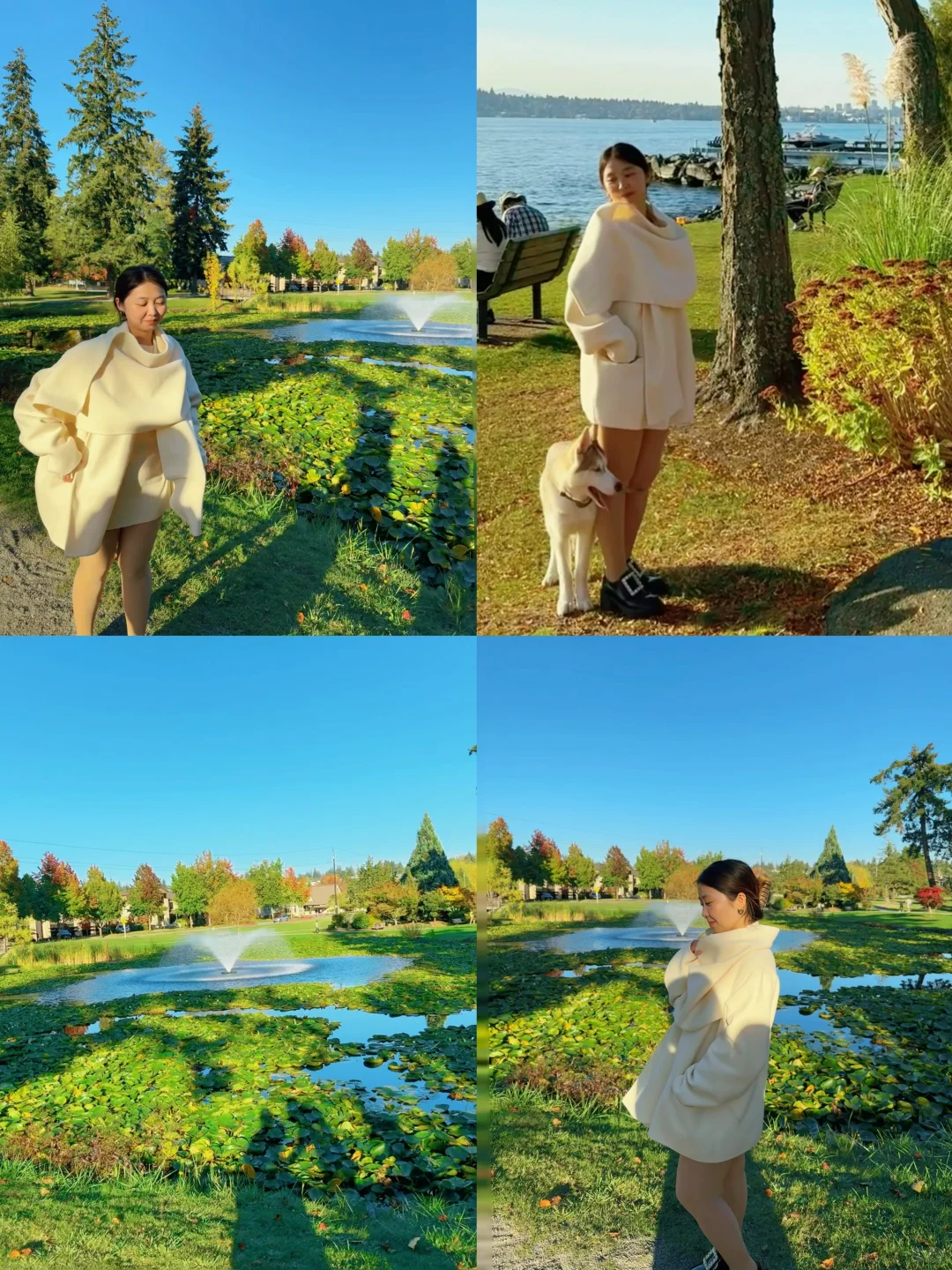 Seattle's Super Chill Park