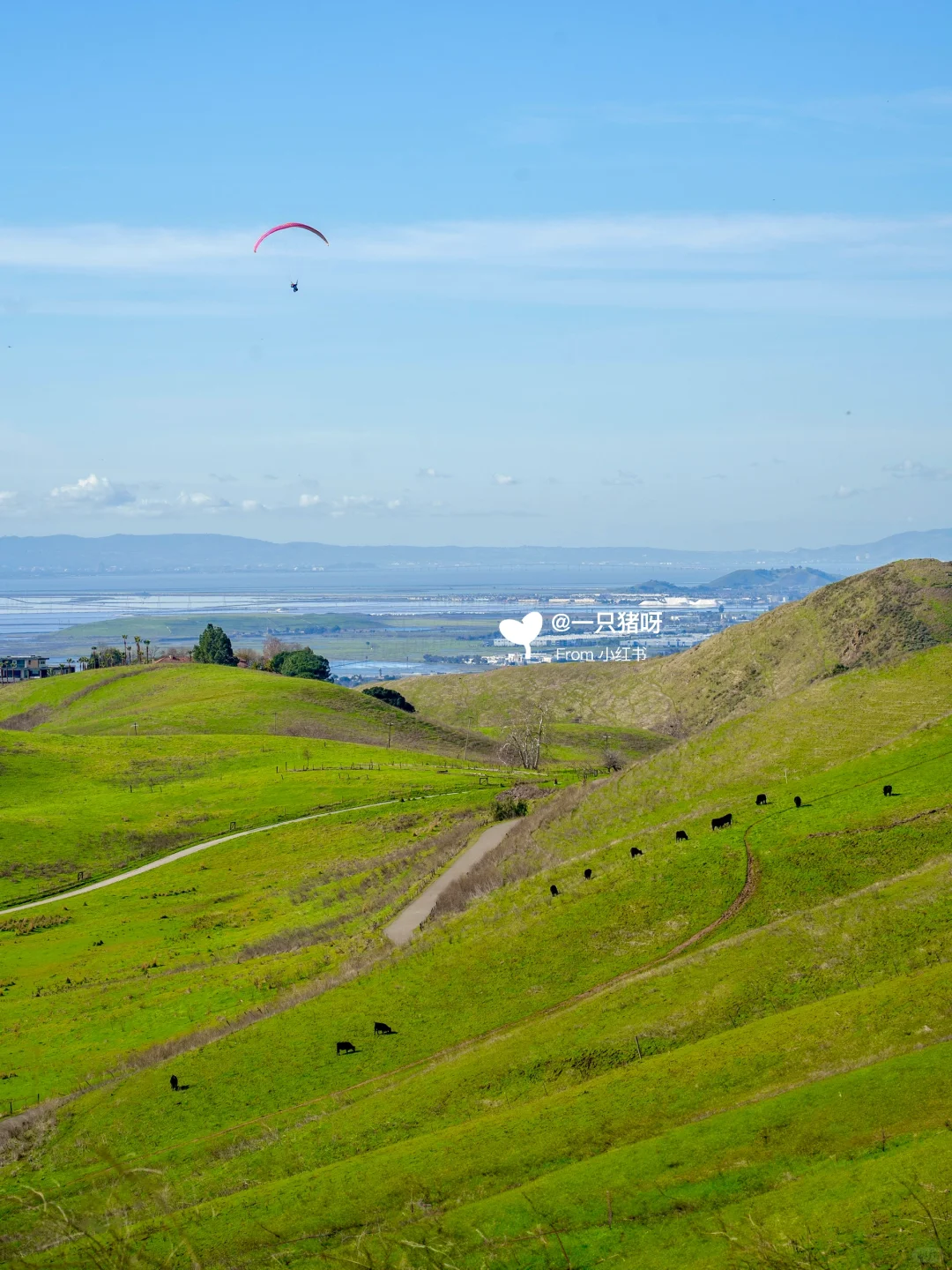 Bay Area Hiking ⛰️ To See the Lush Green Mountains of Spring