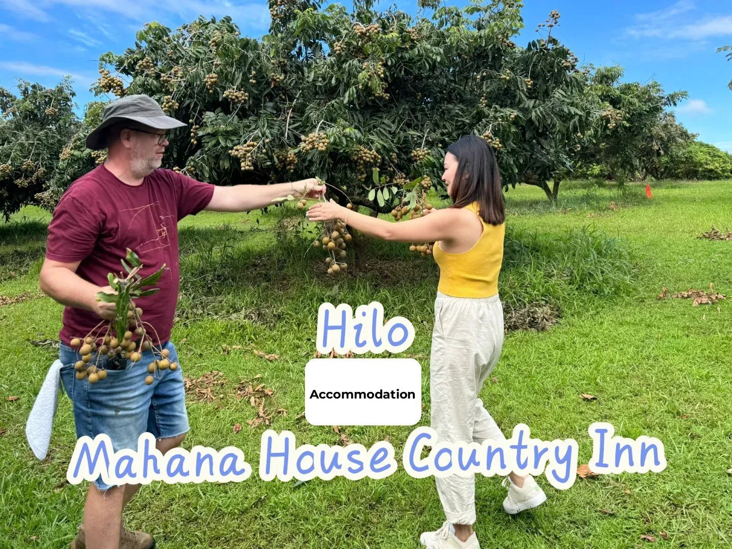 Hilo: The Accommodation on Hawaii's Big Island That's More Interesting Than the Tourist Spots