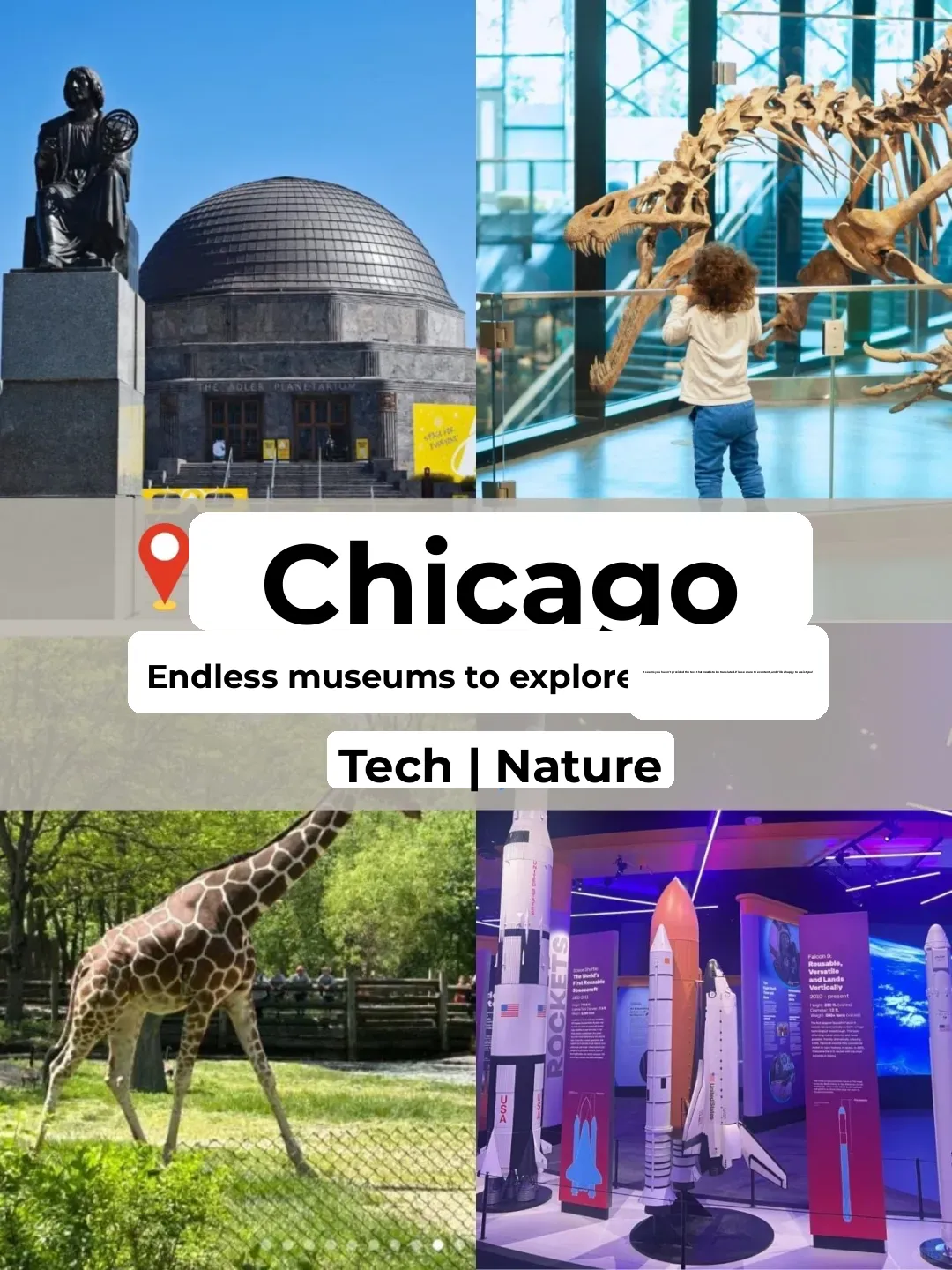 Endless Exploration of Chicago Museums - Part 1 | North America Travel Guide (6)