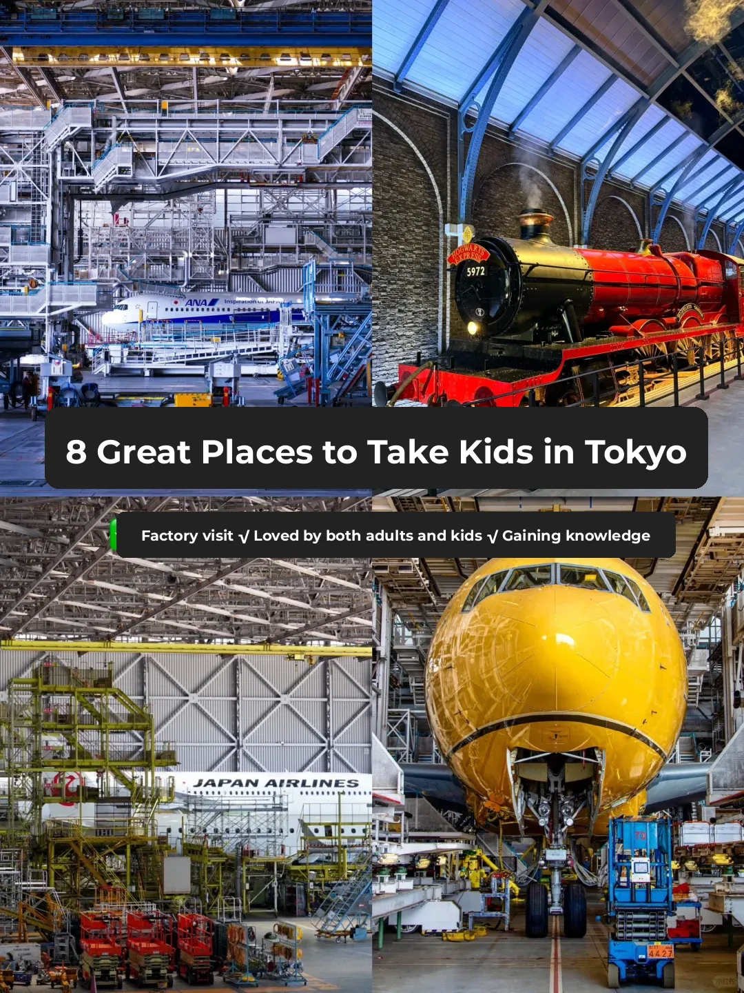 Tokyo Family Guide ‼ 8 Must-Visit Spots for Both Kids and Adults