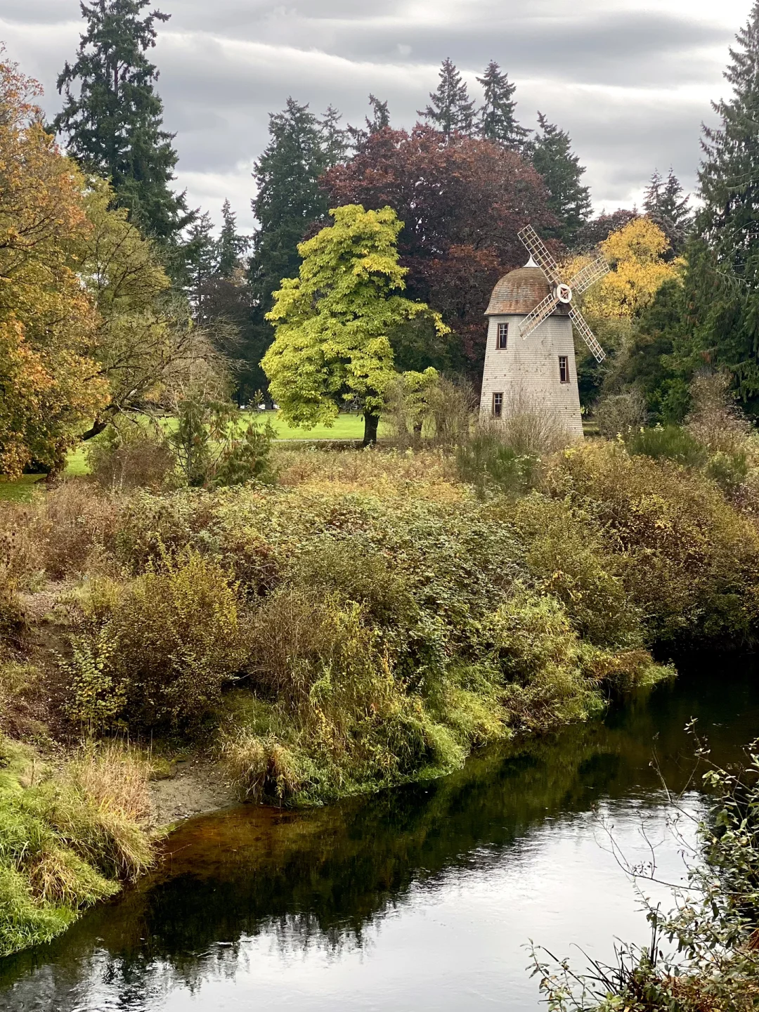 Marymoor Has More Than Just the Red Maple Trail 🍁🍁