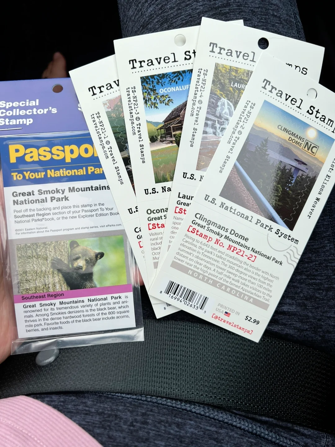 Fifth Visit to Great Smoky Mountains National Park: Ultimate Guide (Part 2)!