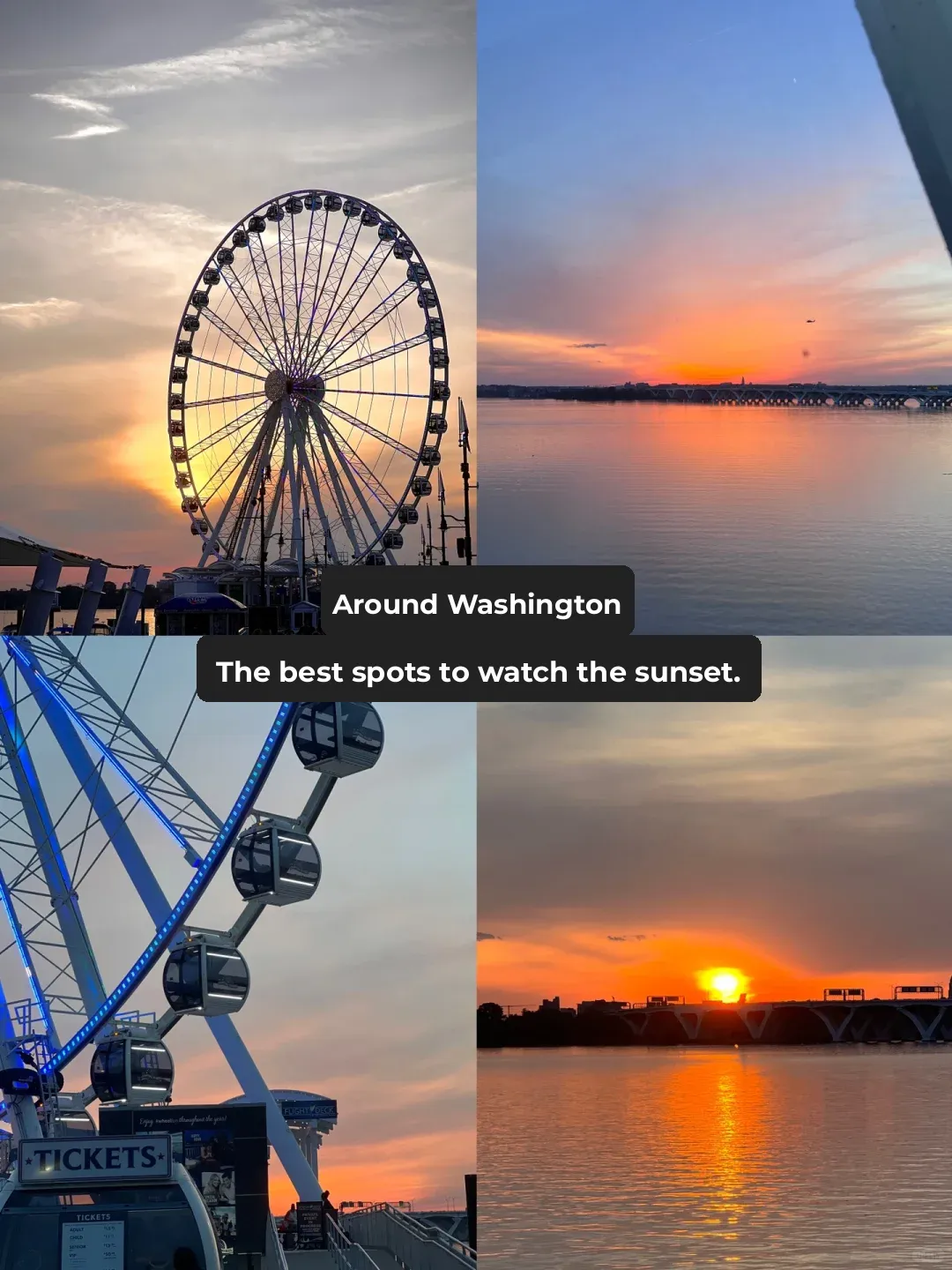 Washington D.C. | This Place is Perfect for a Date with Your Crush❗️