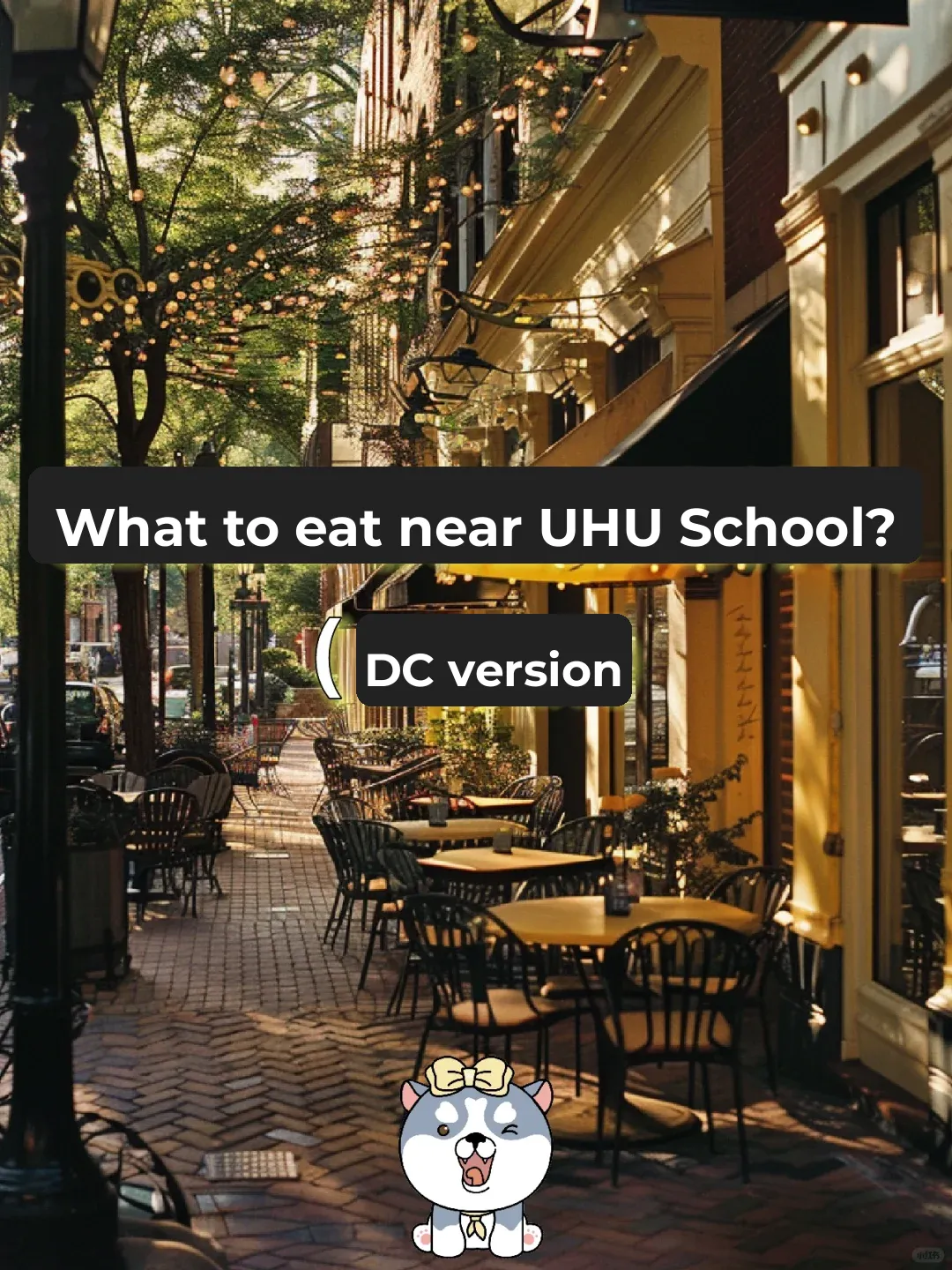 What to Eat Near JHU (DC Edition)