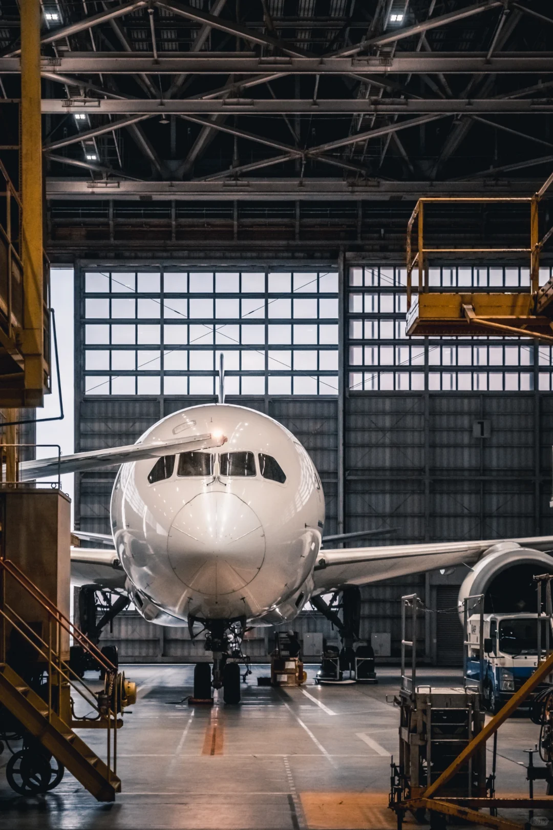 "Bro, You Can't Miss This Spot in Tokyo! Seriously, You Gotta Check It Out!"