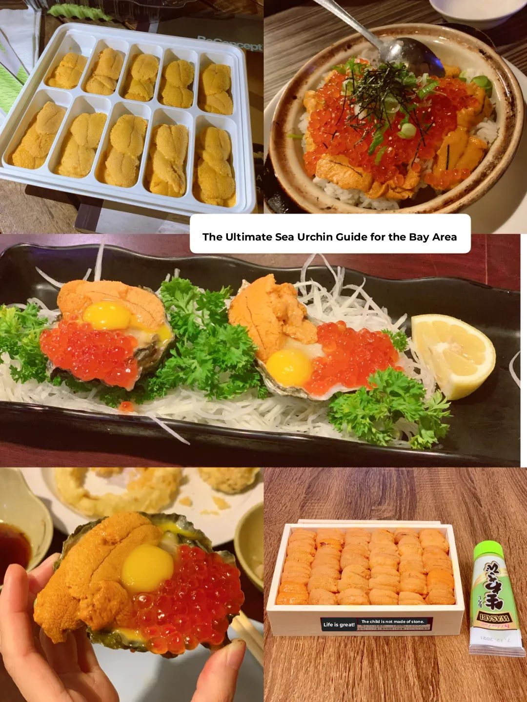 💛 Where to Eat in Bay Area Uni | Ultimate Guide for Sea Urchin Enthusiasts