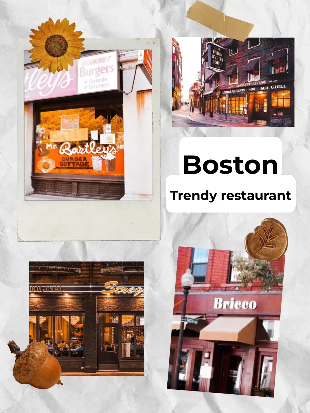 Must-Visit Instagrammable Restaurant in Boston 🍴