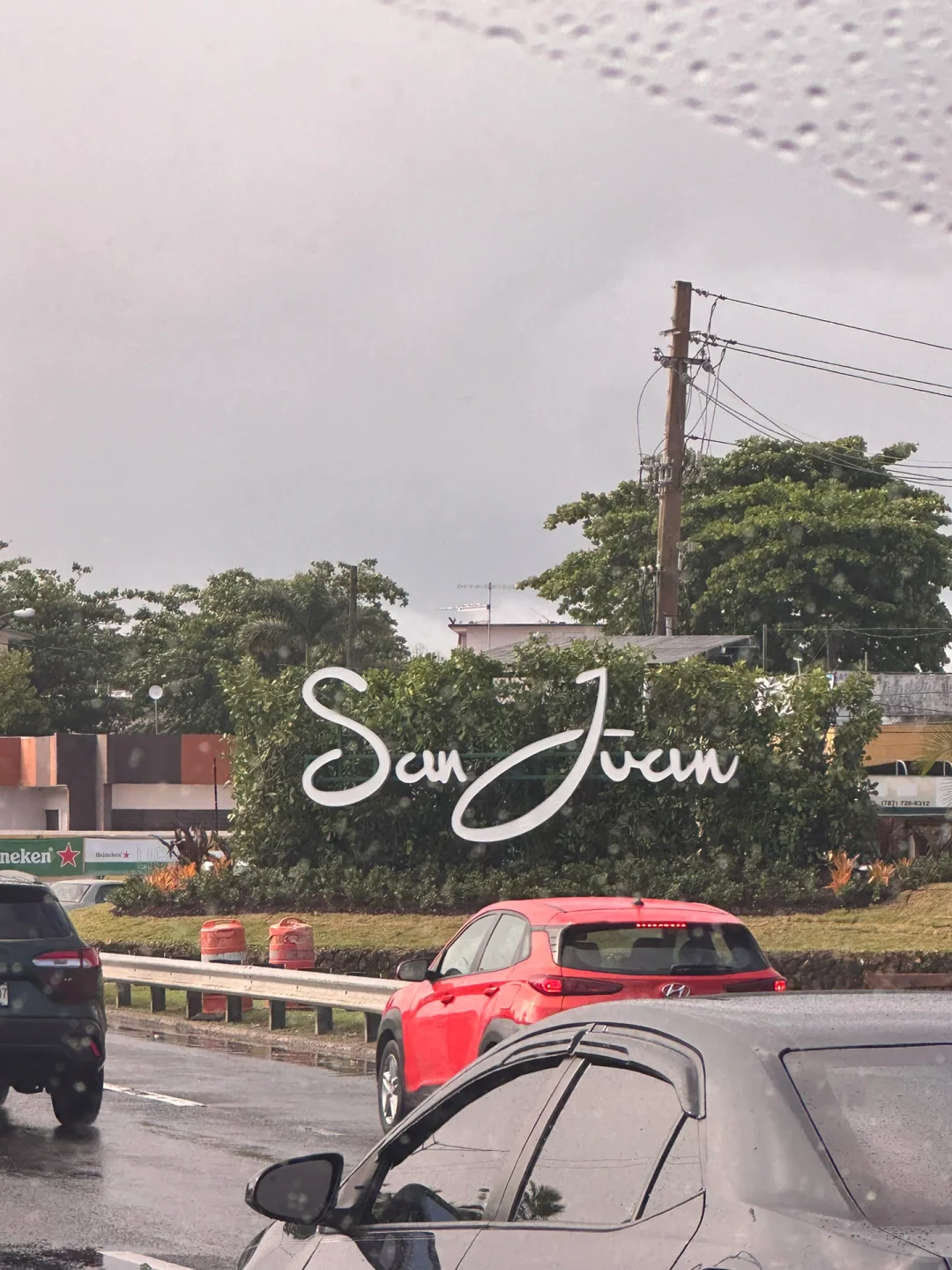 Puerto Rico 🇵🇷 San Juan: The Kingdom of Cats