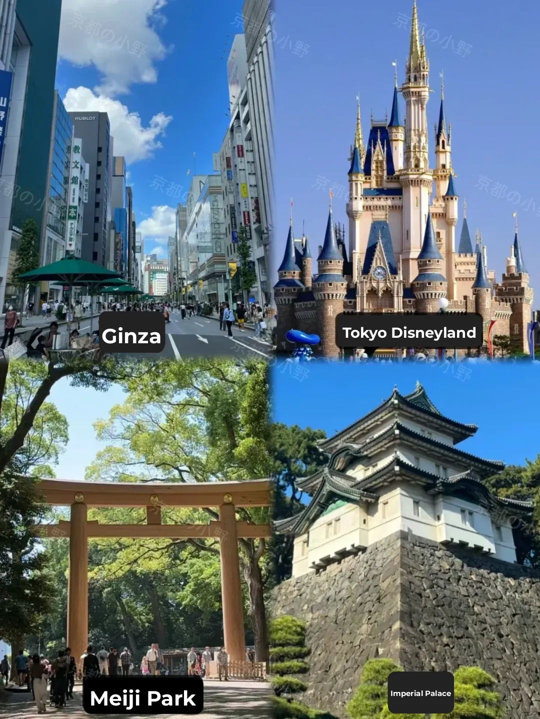 🇯🇵 Tokyo | Ultimate Must-Visit Spots Guide ✅ (Locals' Picks 👍🏻)