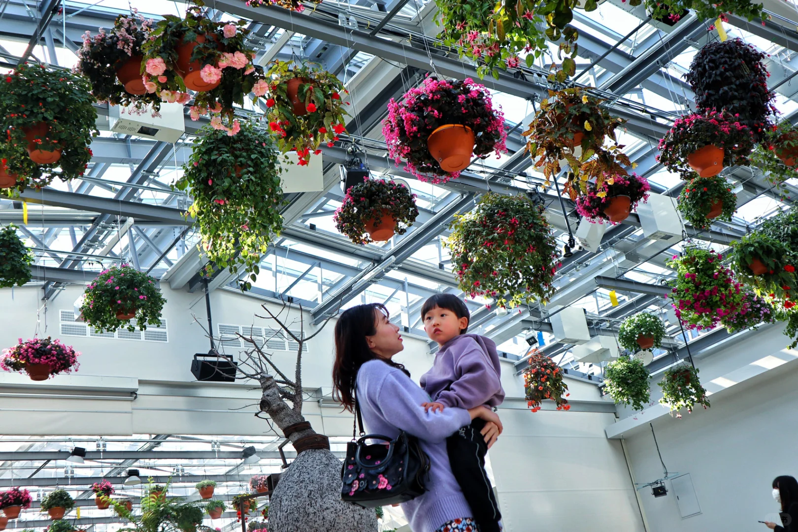 Tokyo Family Trip: HANA BIYORI Starbucks