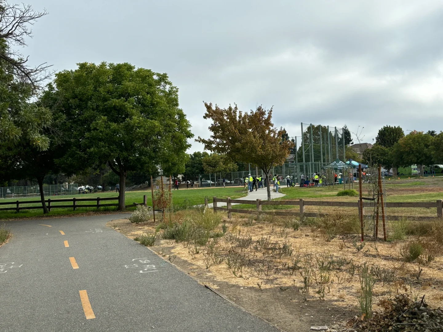 South Bay's Selma Olinder Park: A Perfect Spot for Family Fun in the Bay Area