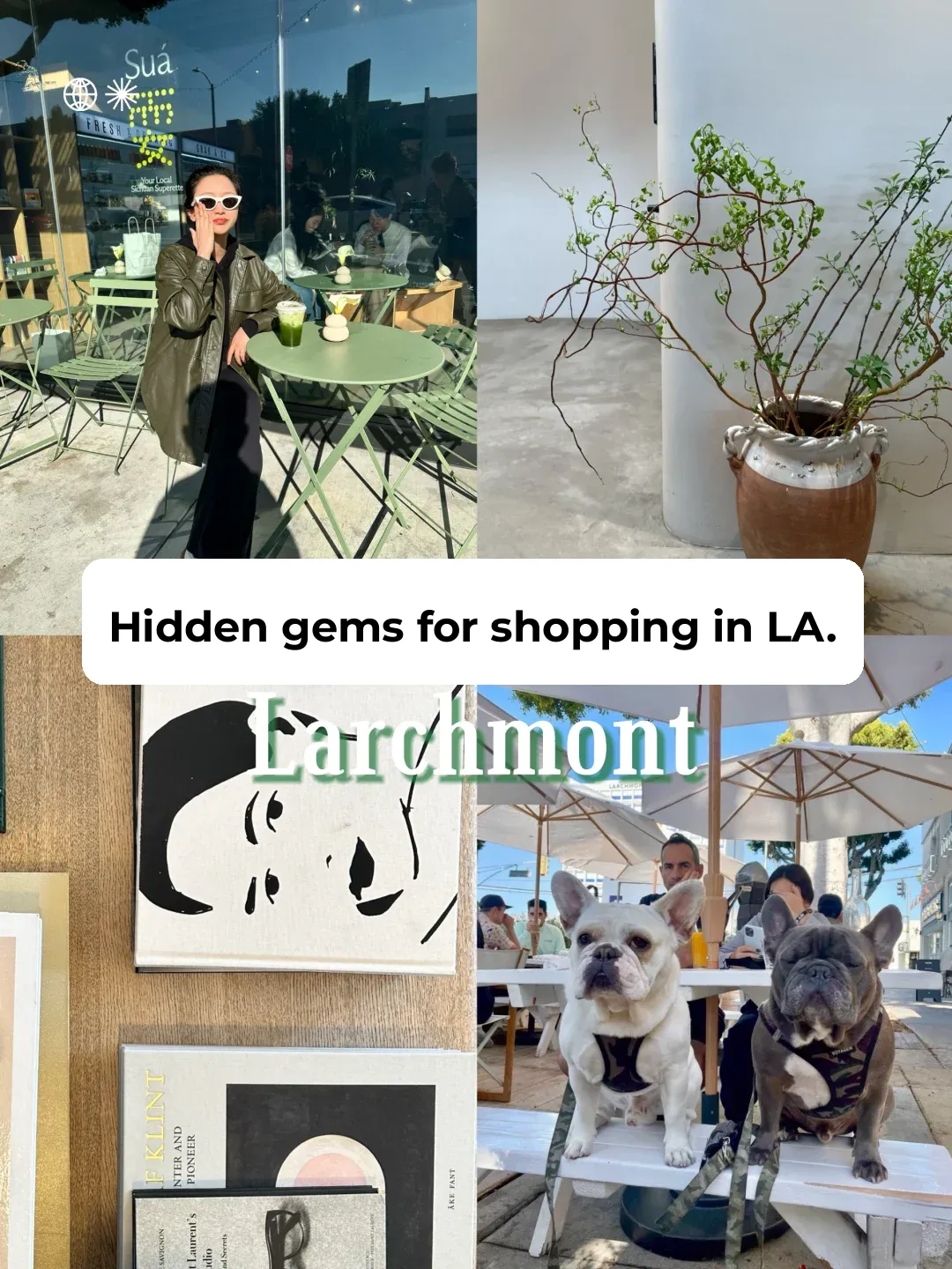 LA | Hidden Gem Shopping Spot: Larchmont