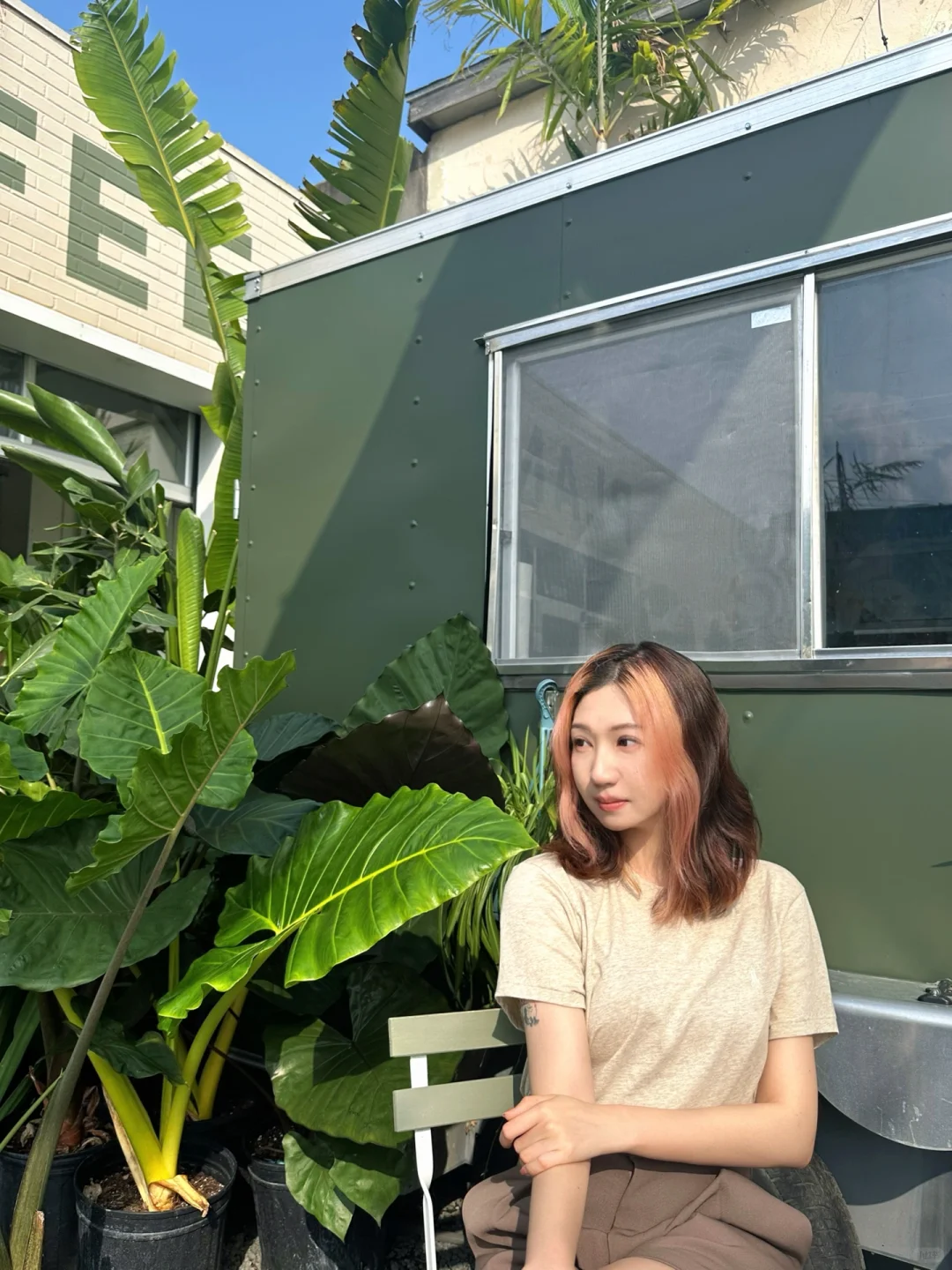 Houston Exploration｜Breathing in the City's Greenery🌱