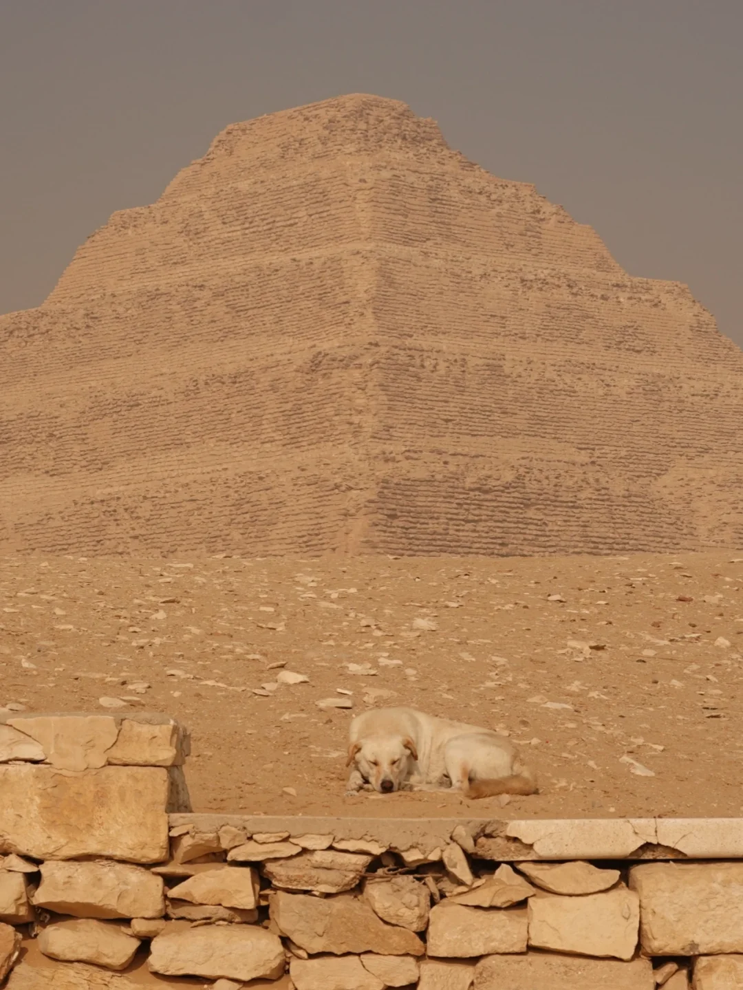 Nine Days in Egypt｜Day 2 (Part 1): Tracing Cairo’s Five Millennia