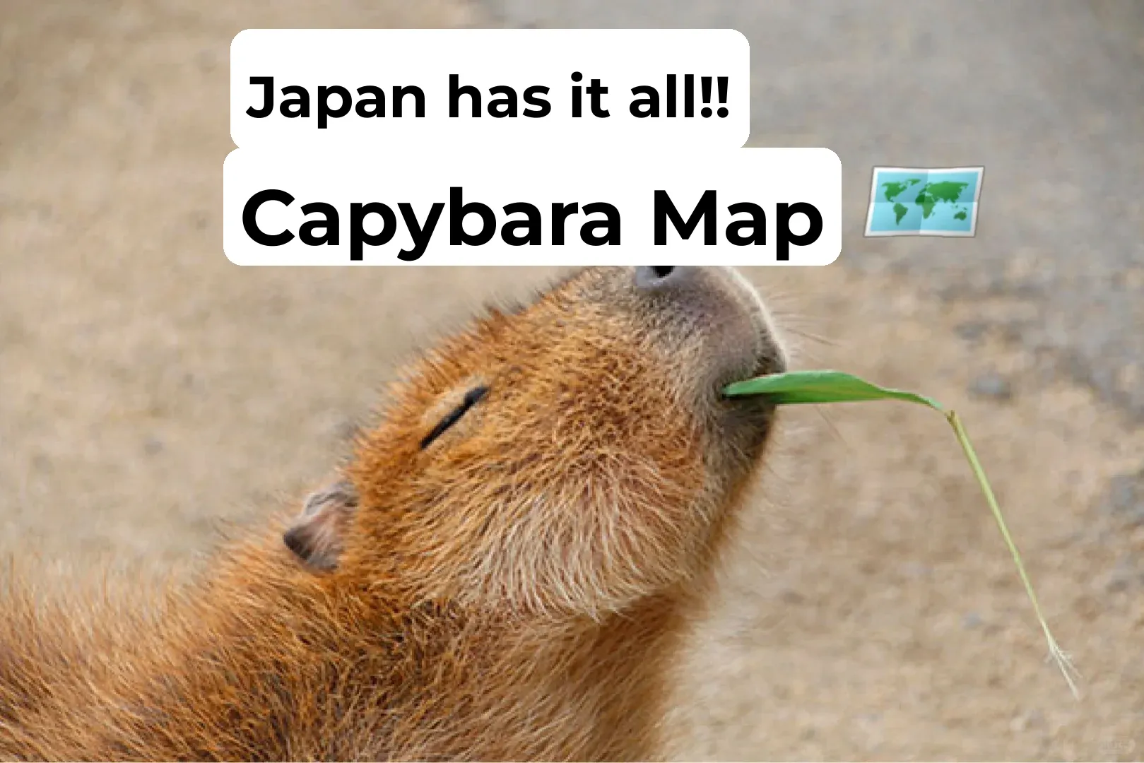 Bookmark This‼️ The Ultimate Capybara Map of Japan (Part 1)
