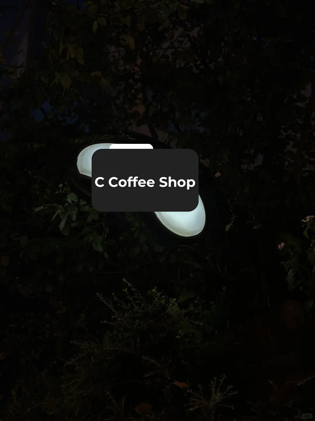 🇯🇵 Kobe's Unforgettable Hidden Gem Café ☕