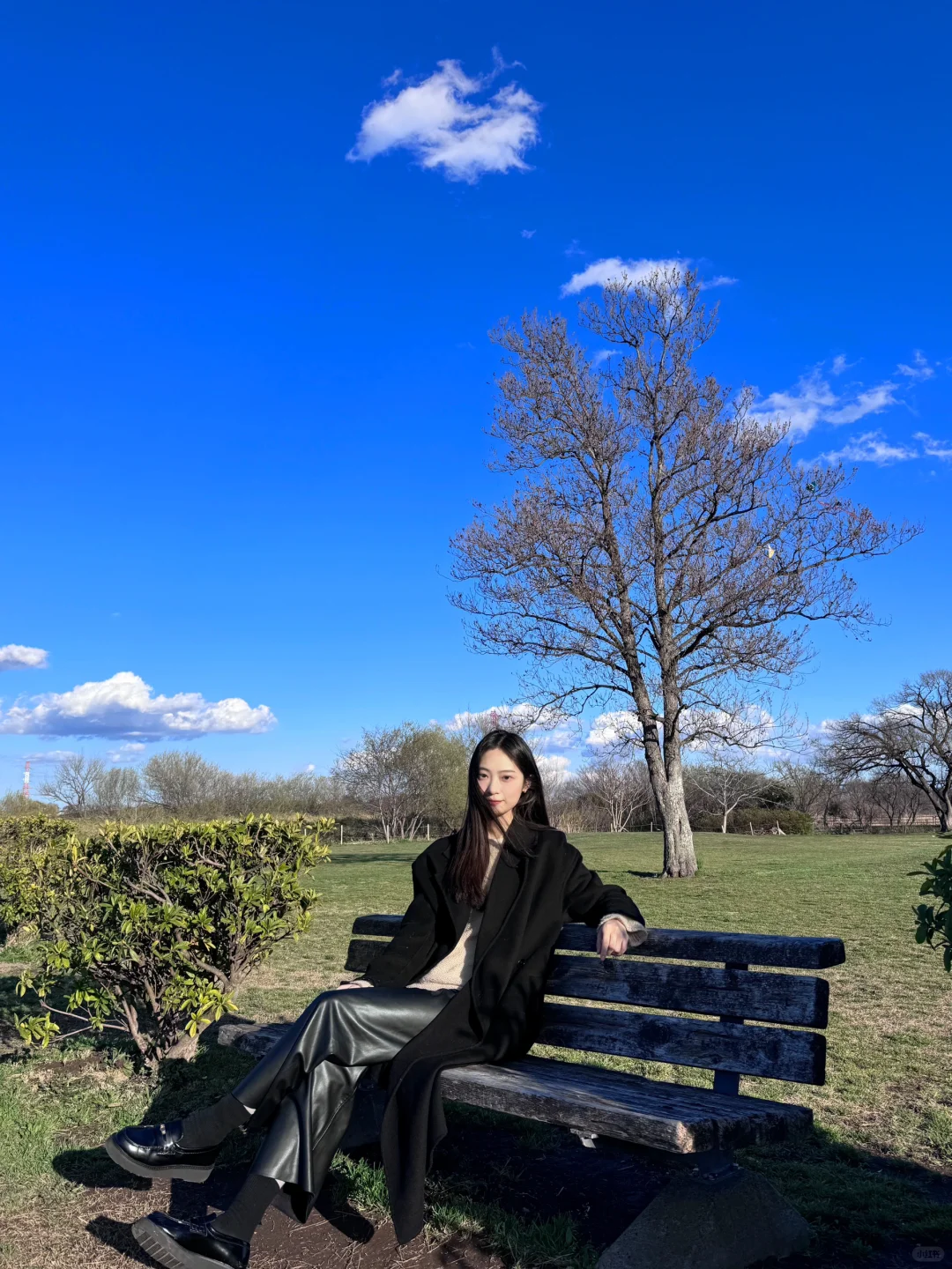 🇯🇵 Tokyo Suburbs / Perfect Spot for an Afternoon Stroll!