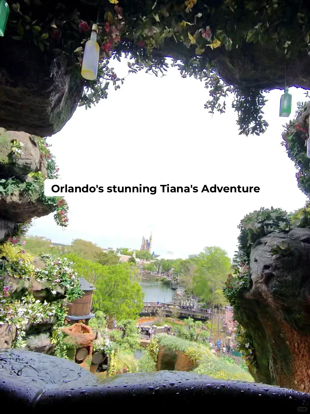 So Stunning‼️✈️ Tiana’s Bayou Adventure