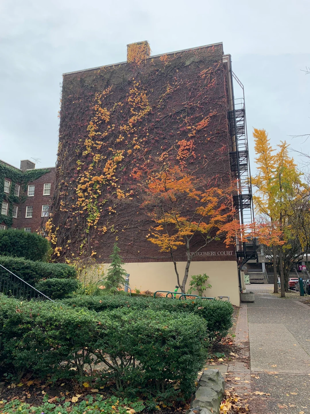 Portland Saturday Market
