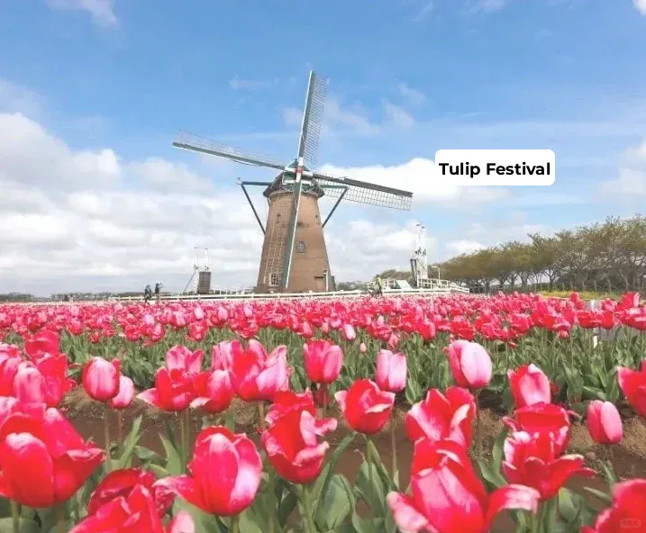 Chicago | Warming Up Next Week! A Comprehensive Guide to Fun Activities in May!