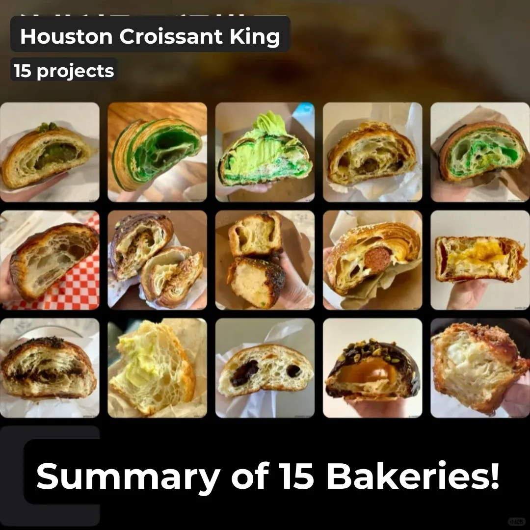 Houston | Croissant Collection 🥐 Part 3