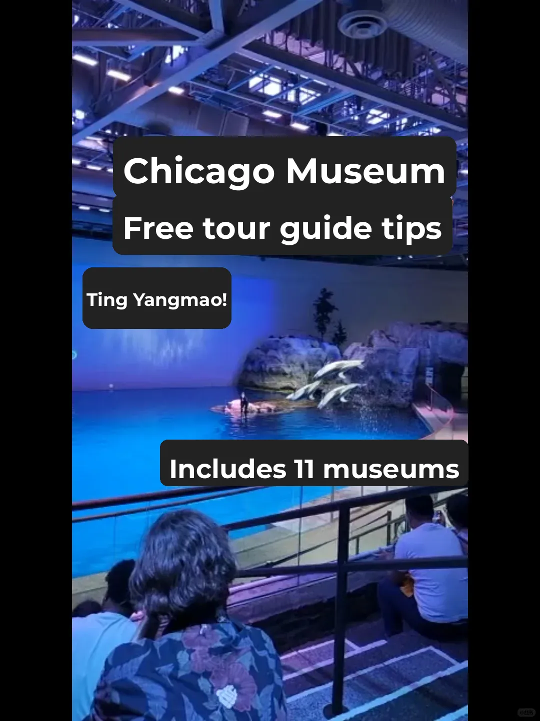 "Score Free Admission! Ultimate Guide to Visiting Chicago Museums for Free 🏫"