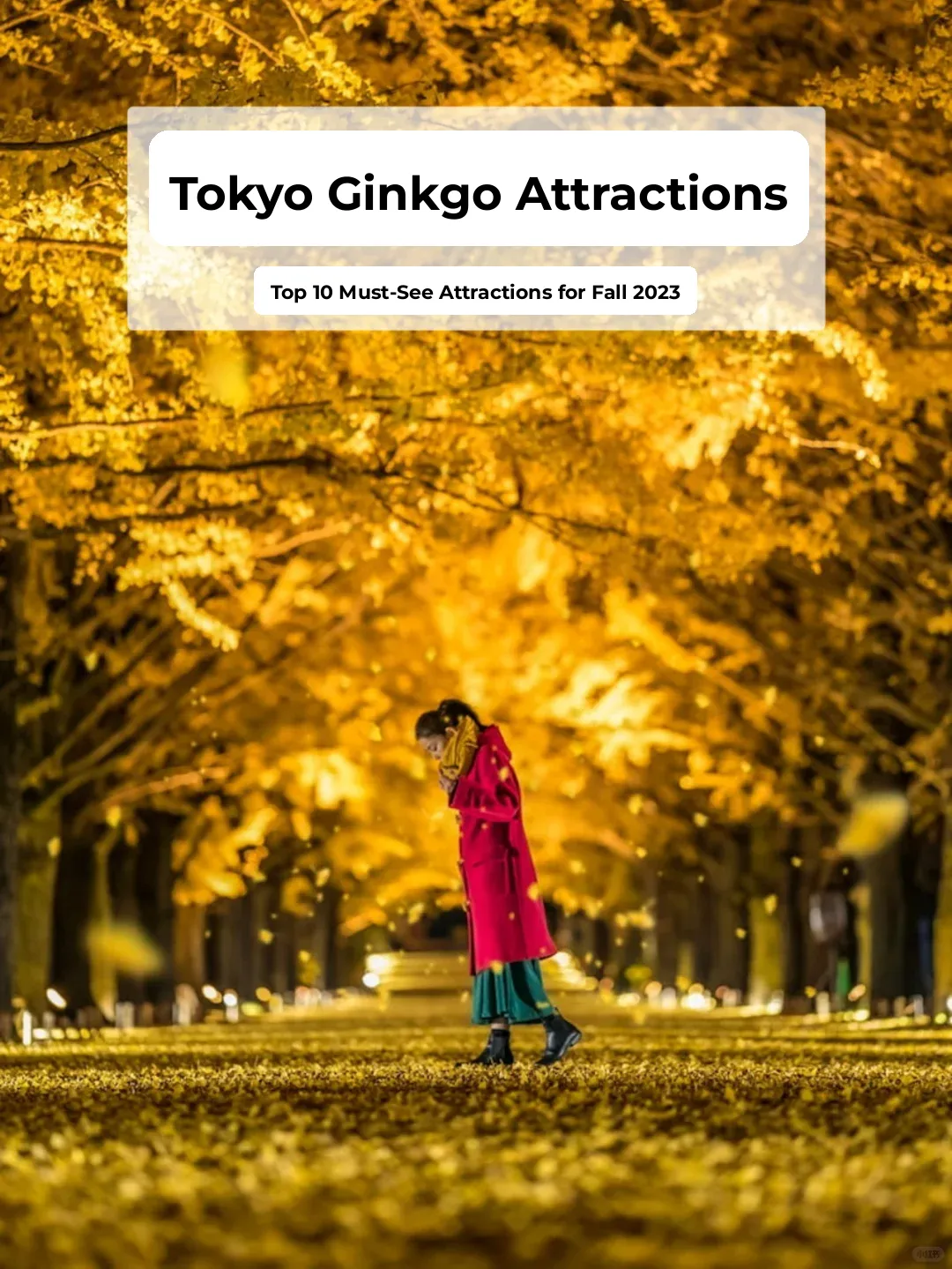 Top 10 Ginkgo Spots in Tokyo: The City's Most Stunning Autumn Gold