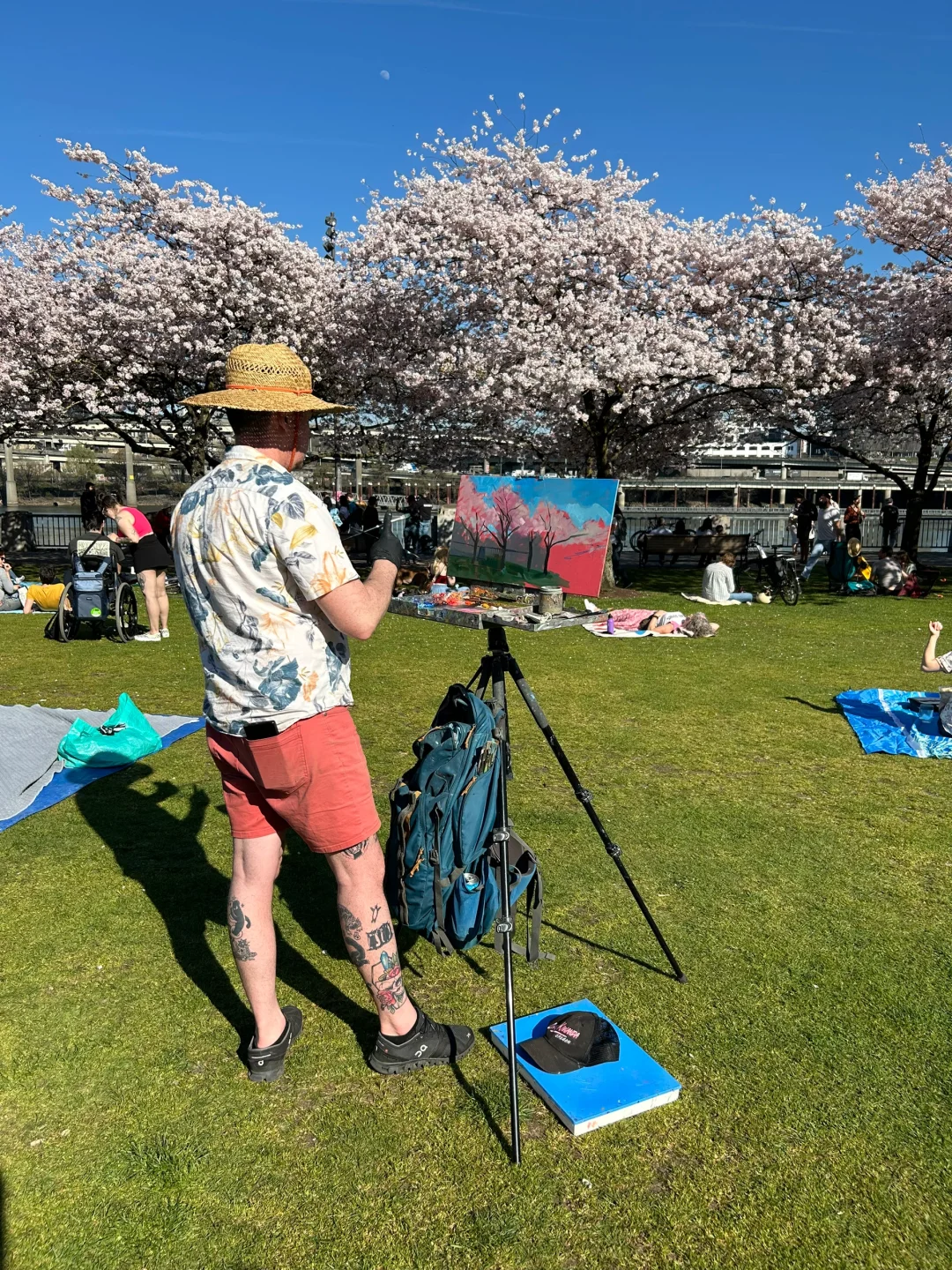 "Portland's Cherry Blossoms Are in Full Bloom!"