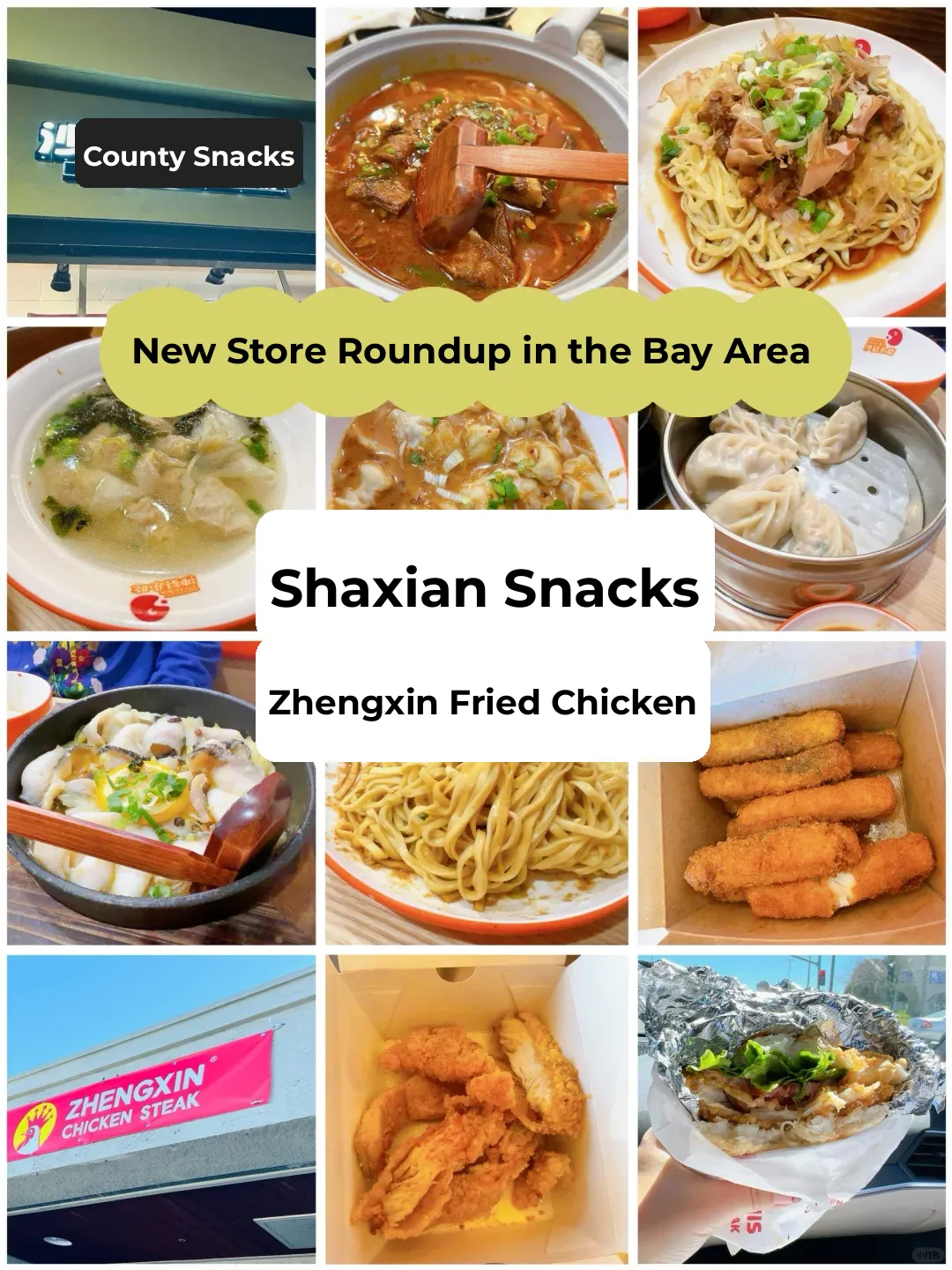 Bay Area New Eats Roundup | Sha County Snacks + Zhengxin Chicken Cutlet • Feasting Frenzy