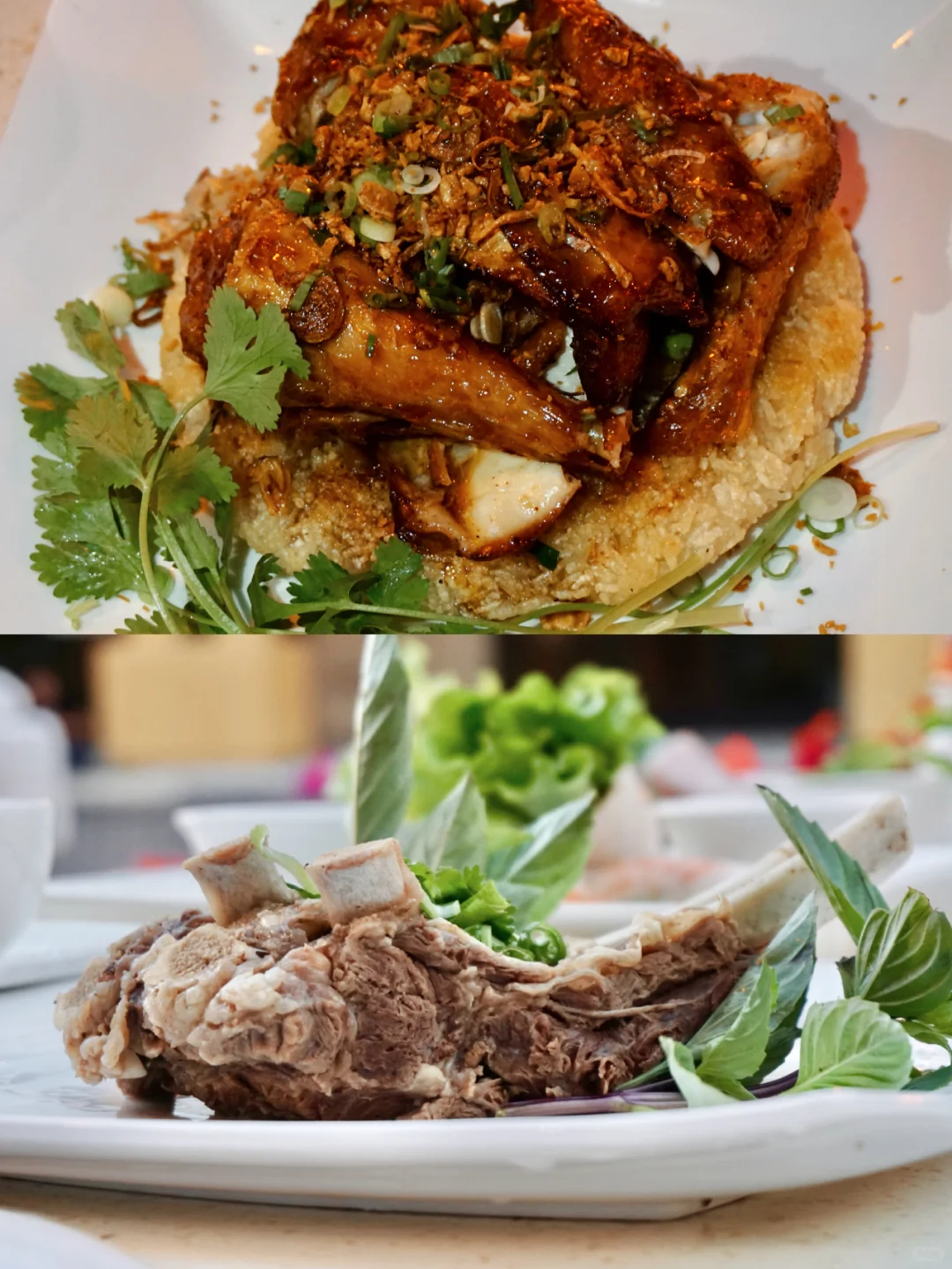 San Jose Foodie Guide｜Pho Ha Noi: The Bay Area's Favorite Vietnamese Cuisine