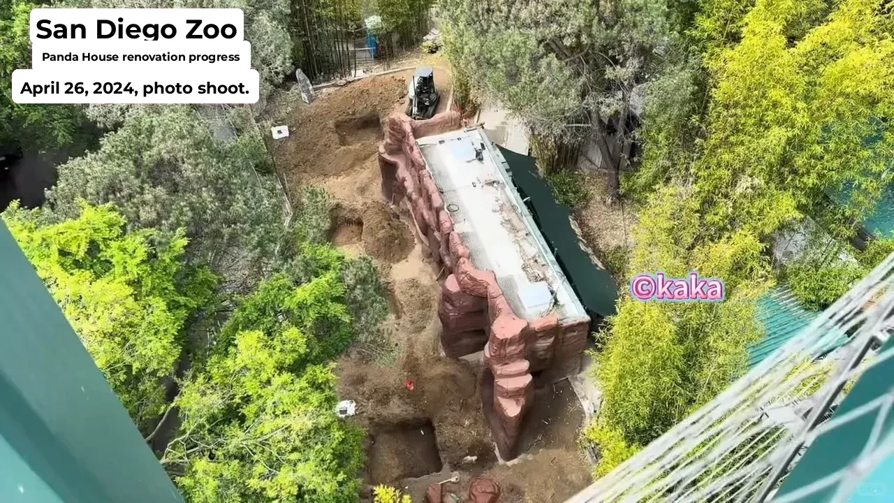 Take a Look at the Future Living Spaces of Zhen Chuanchuan and Xinbao