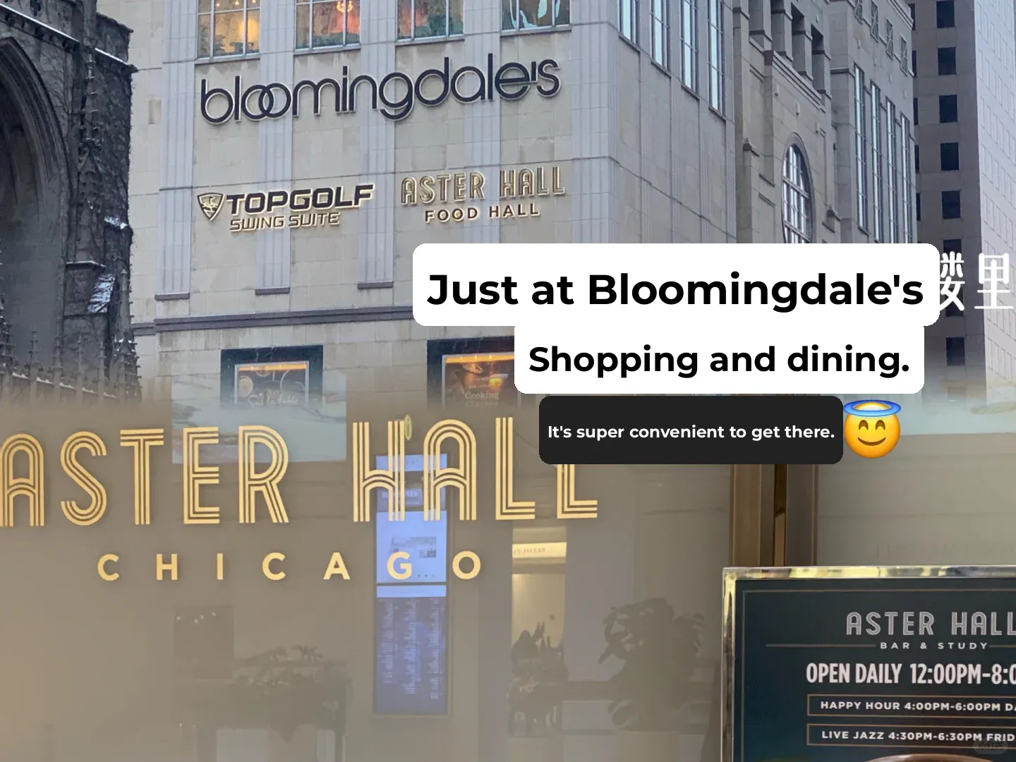 Chicago Food Scene | A Charming, Scenic $10 Afternoon Tea Bar