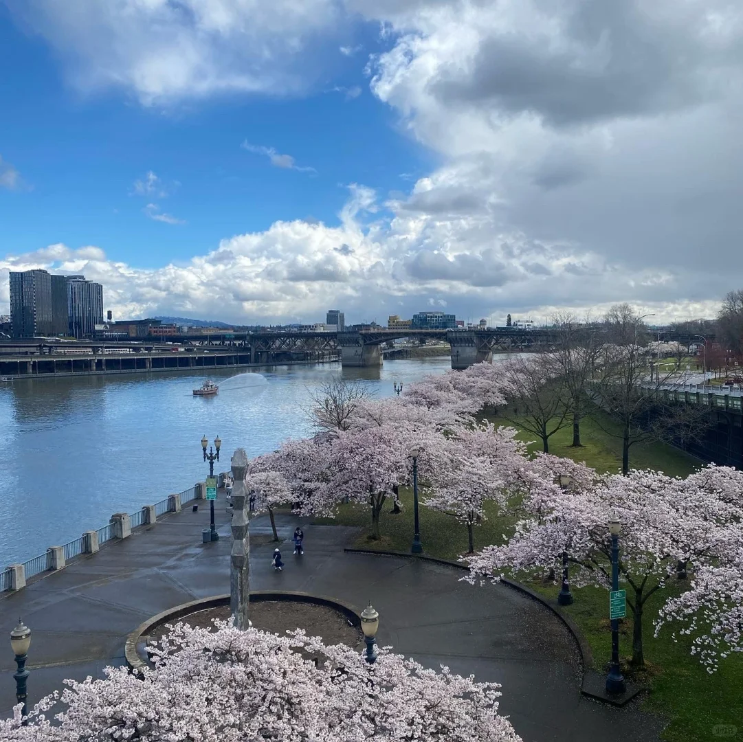 U.S. | Must-Visit Attractions in Portland, Oregon