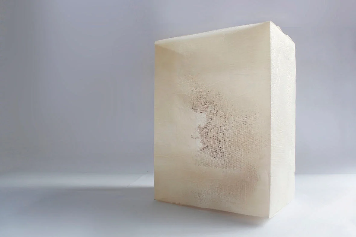 Supporting Young Chinese Artists in Paris: Sorbonne Contemporary Art Exhibition