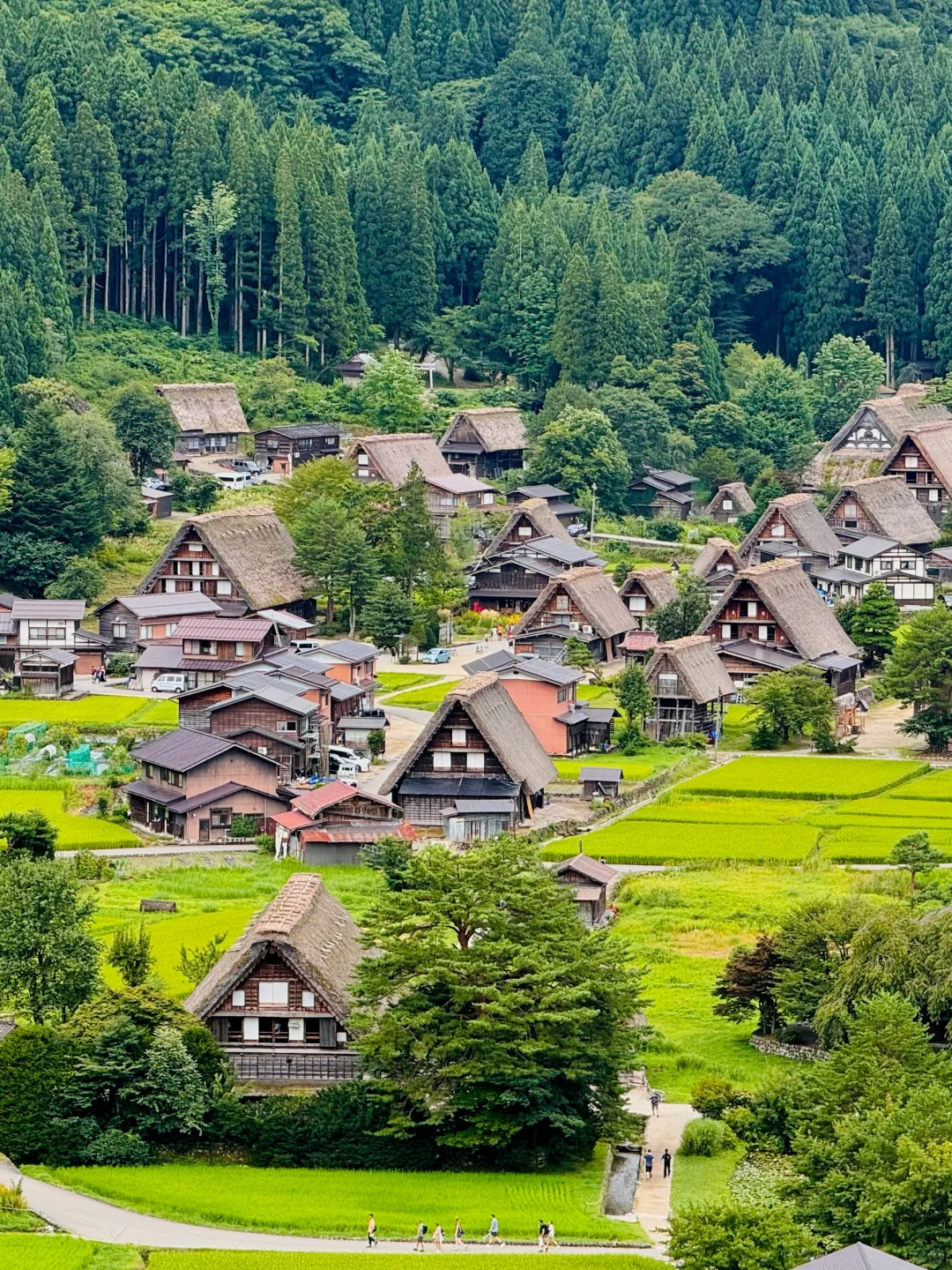 Recommended Family Trip for National Day: A 9-Day Nanny-Level Guide to Japan's Hokuriku Region
