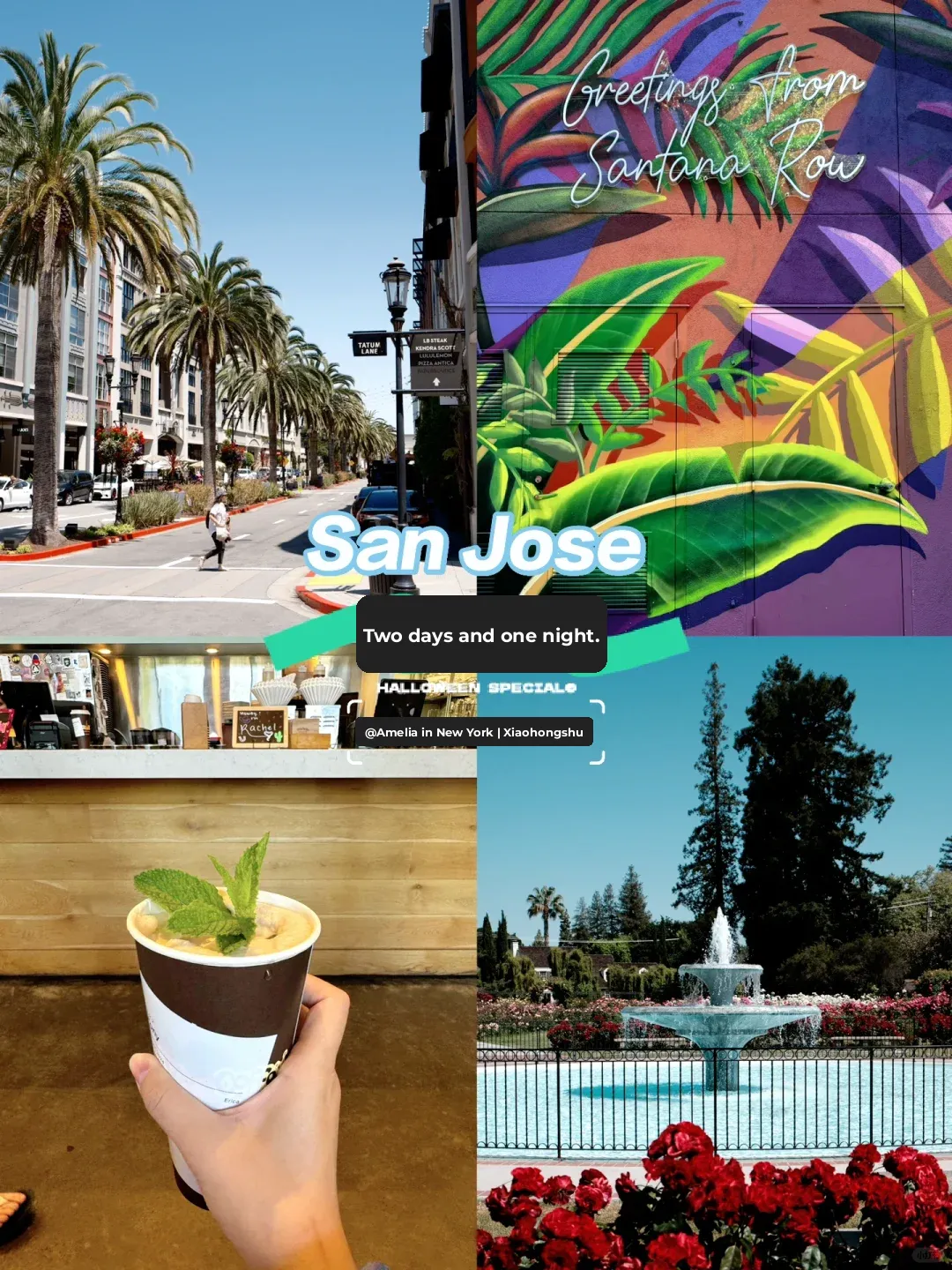 San Jose ｜🚴🏻 2 Days 1 Night Solo Travel Guide ✨