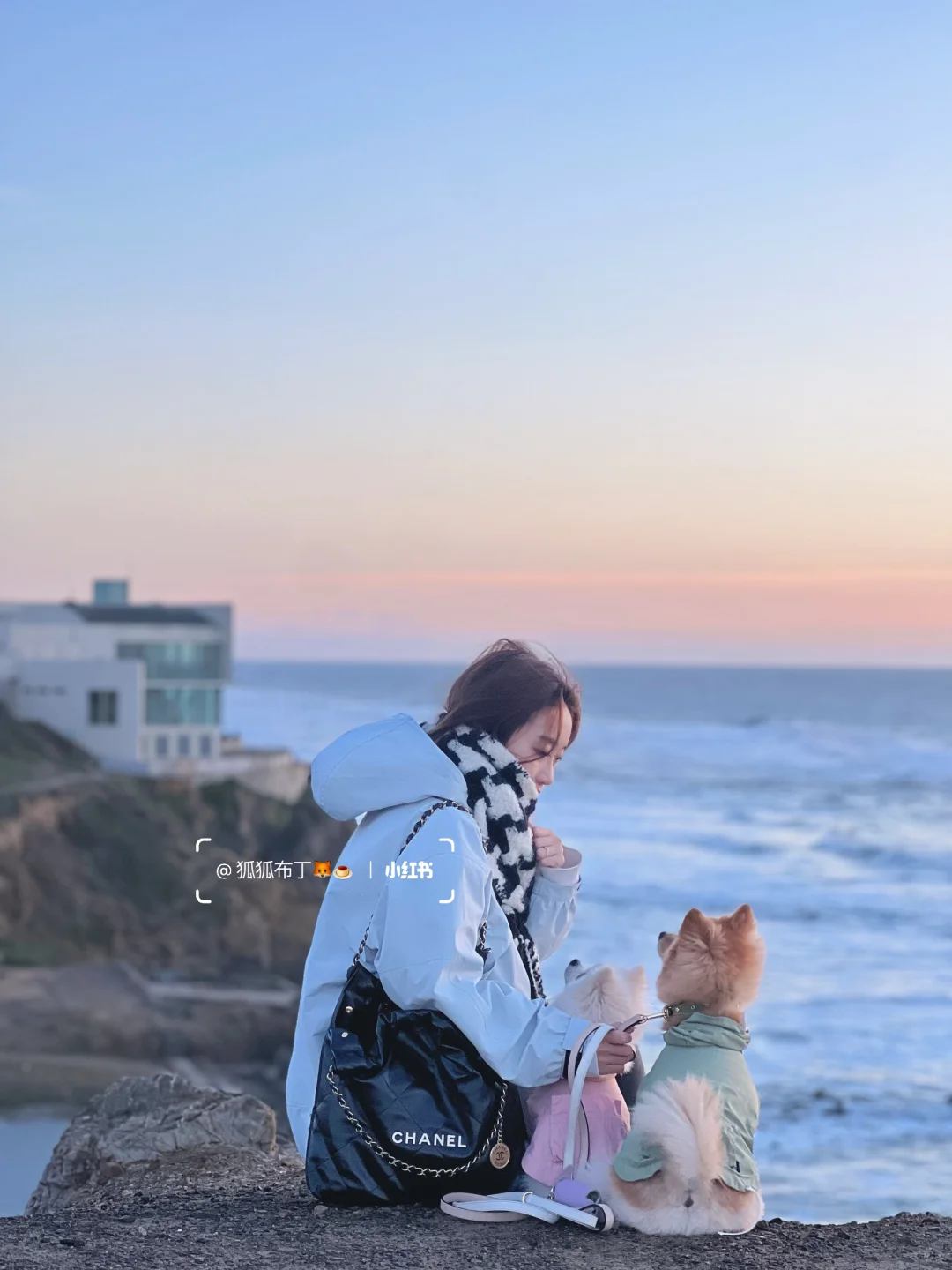 Bay Area Weekend at Lands End | Pet-Friendly Trail | Korean-Thai Eatery