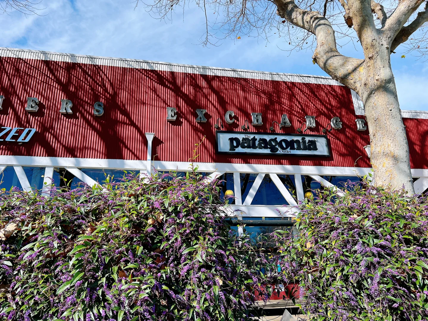 Exploring the Patagonia Santa Cruz Outlet