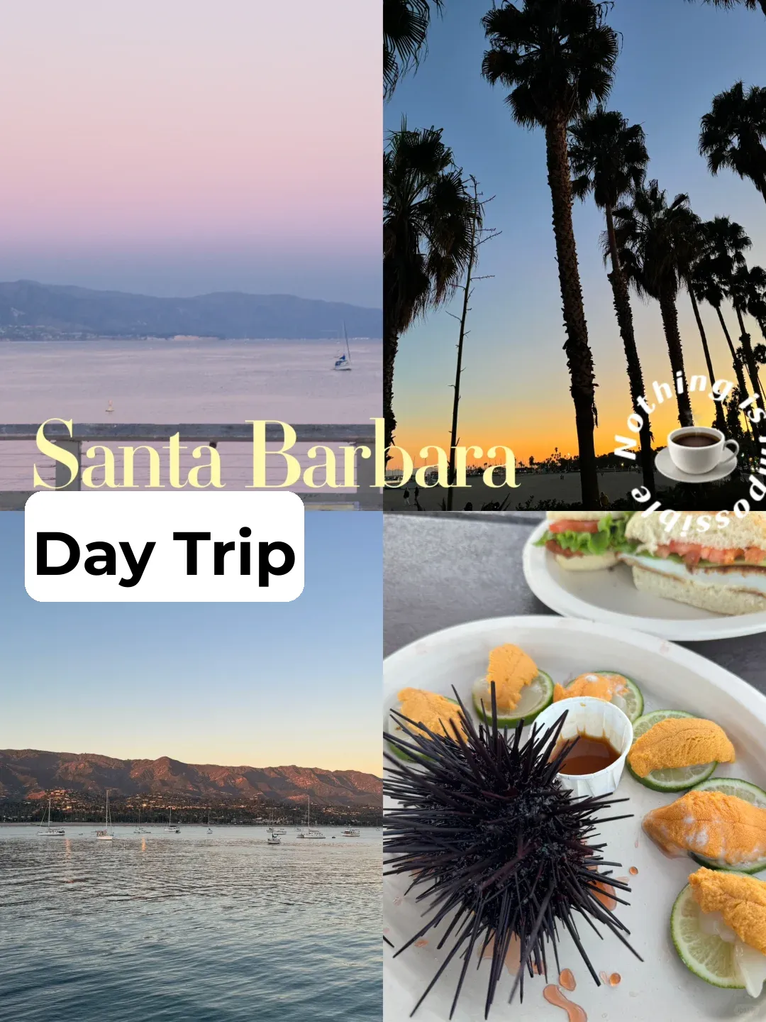 Los Angeles to Santa Barbara by Train: A Perfect Day Trip Guide 🚂