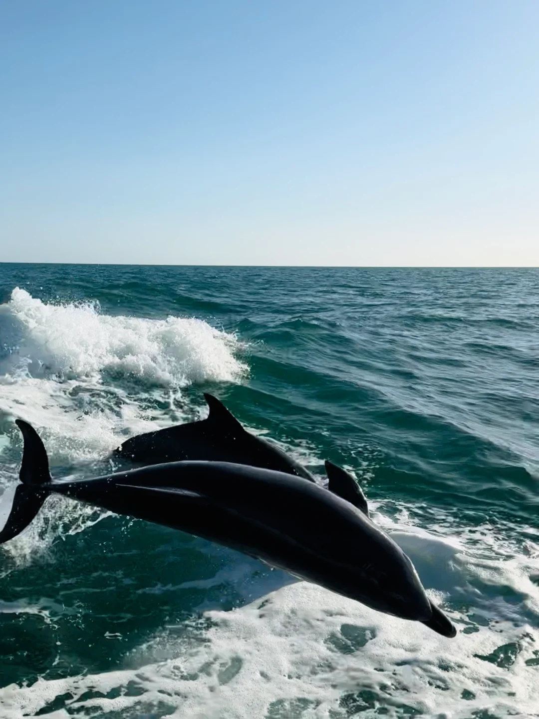 Travel Diary | Tampa Travel Guide