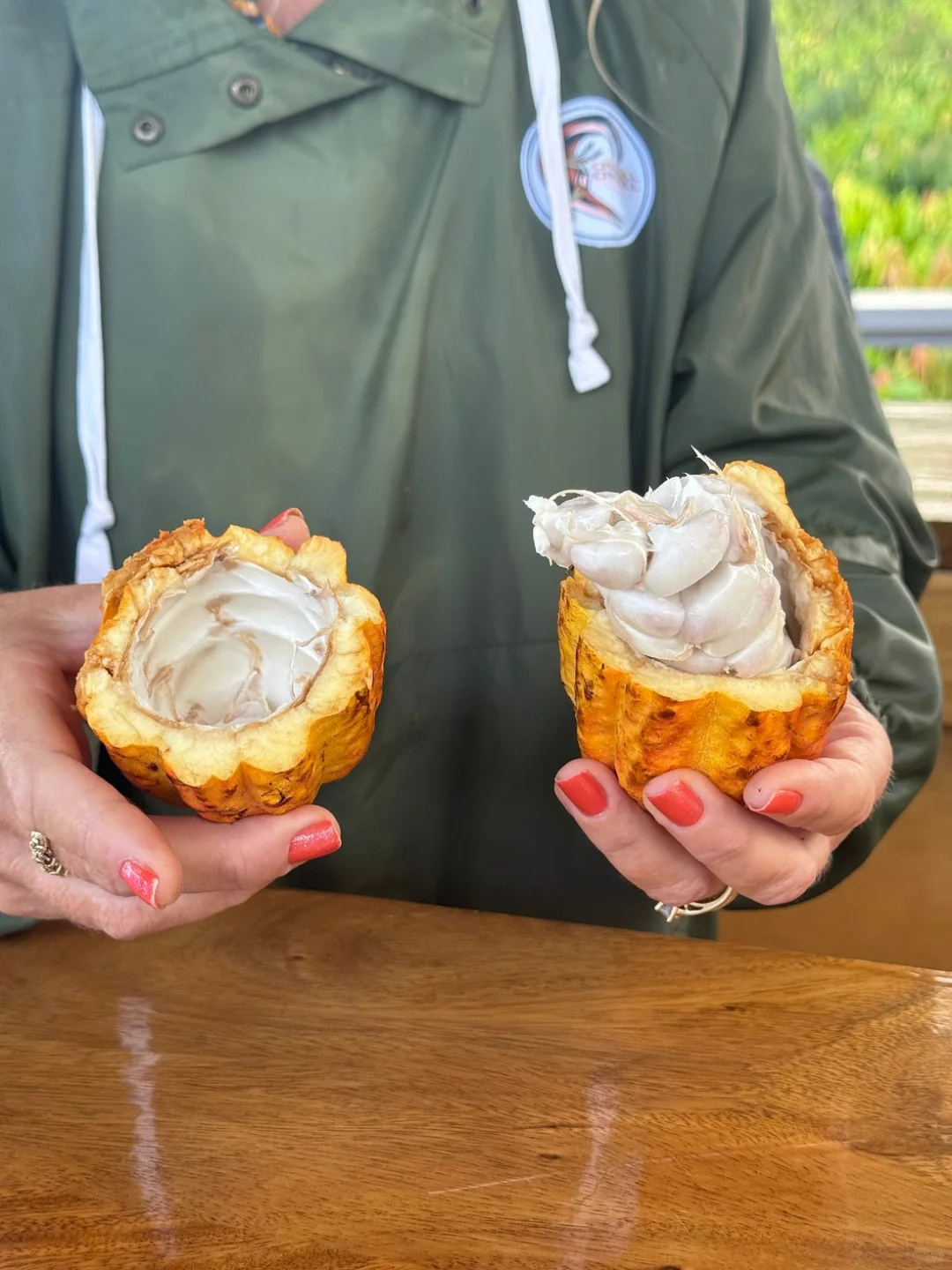 🍫 Must-Visit Hawaiian Cocoa Farm for Chocolate Lovers