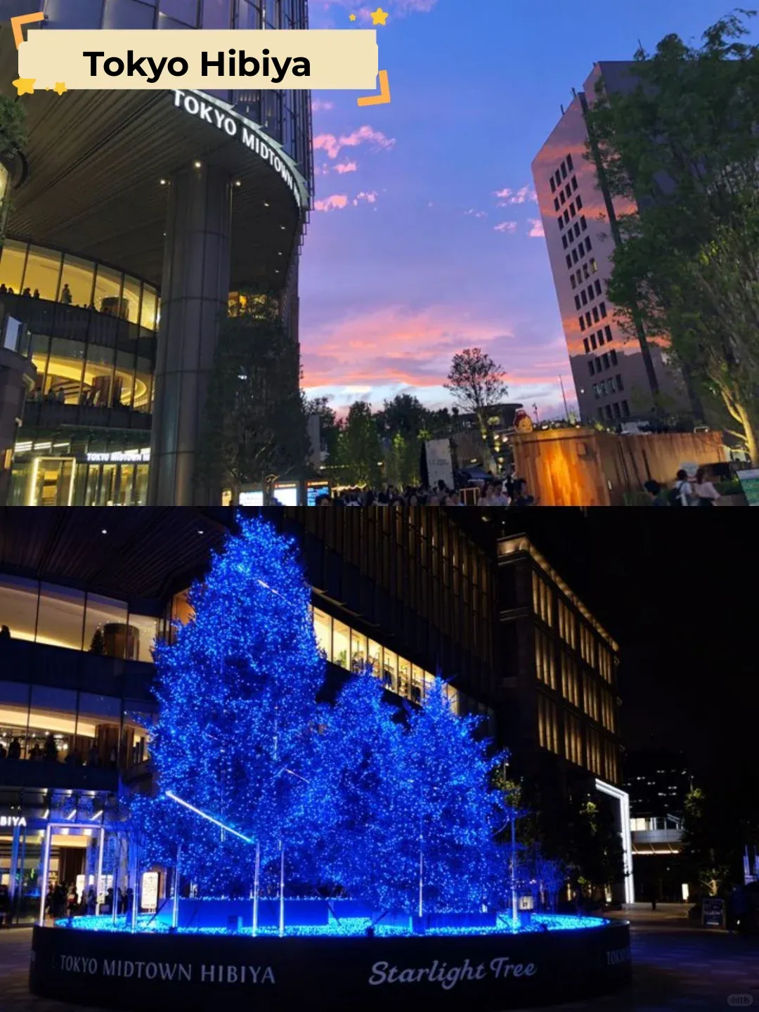 Ginza & Yurakucho | This is Where Adults Should Go for a Date