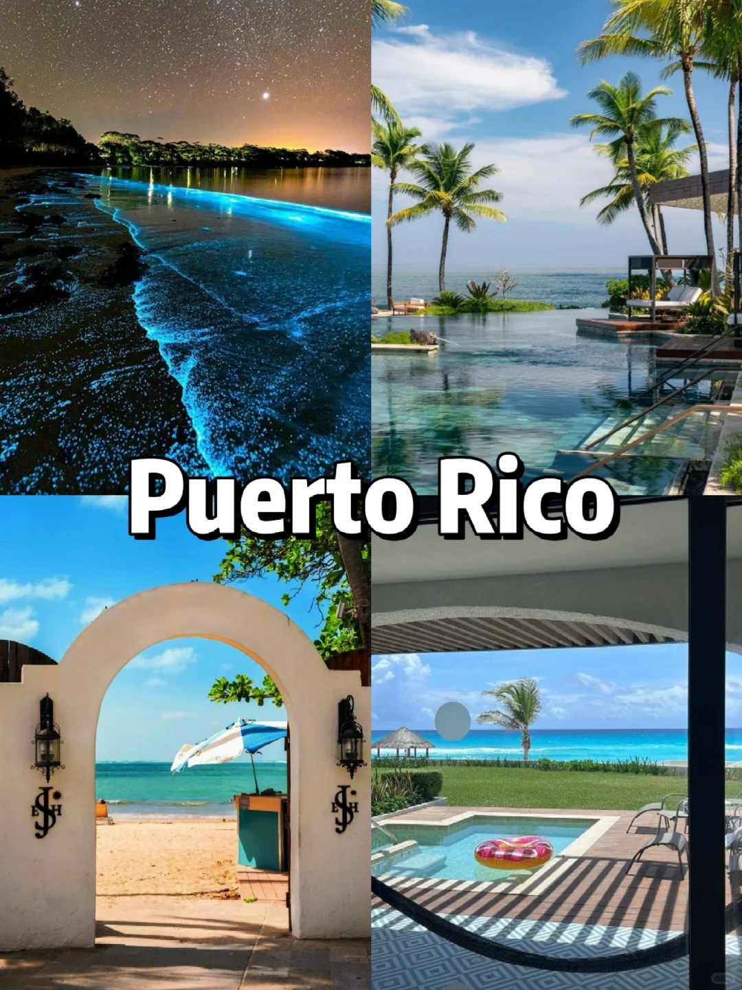 The Current Situation in Puerto Rico! 😭😭 Hotels Slash Prices by 48% Across the Board!