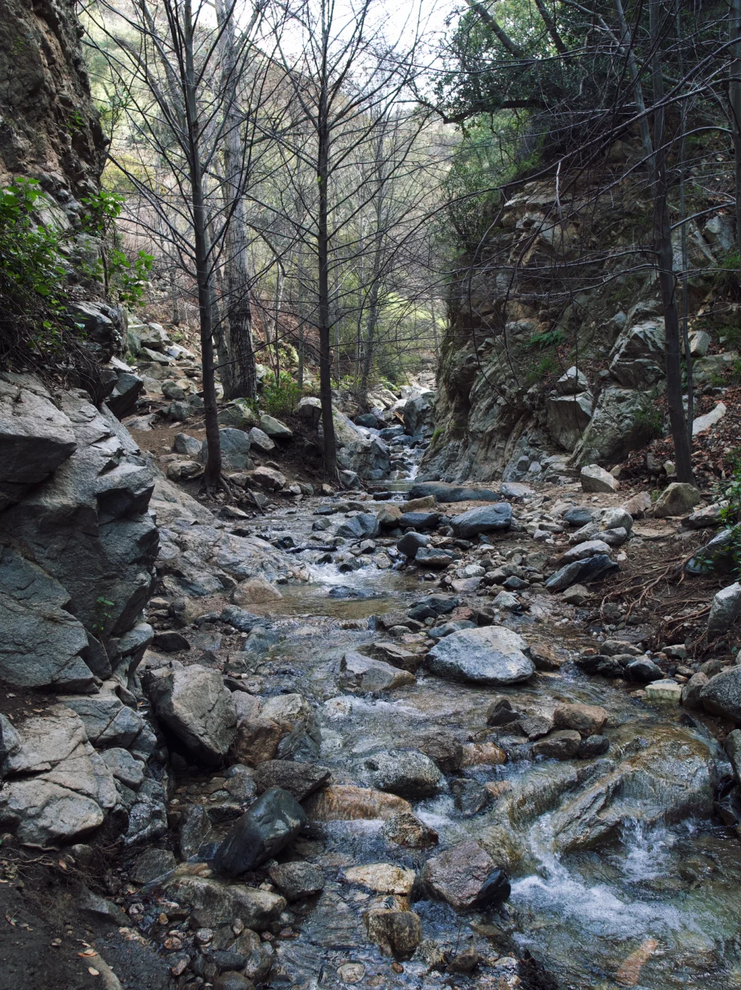 Los Angeles Hiking⛰️Millard Falls: Low Difficulty, High Fun Factor