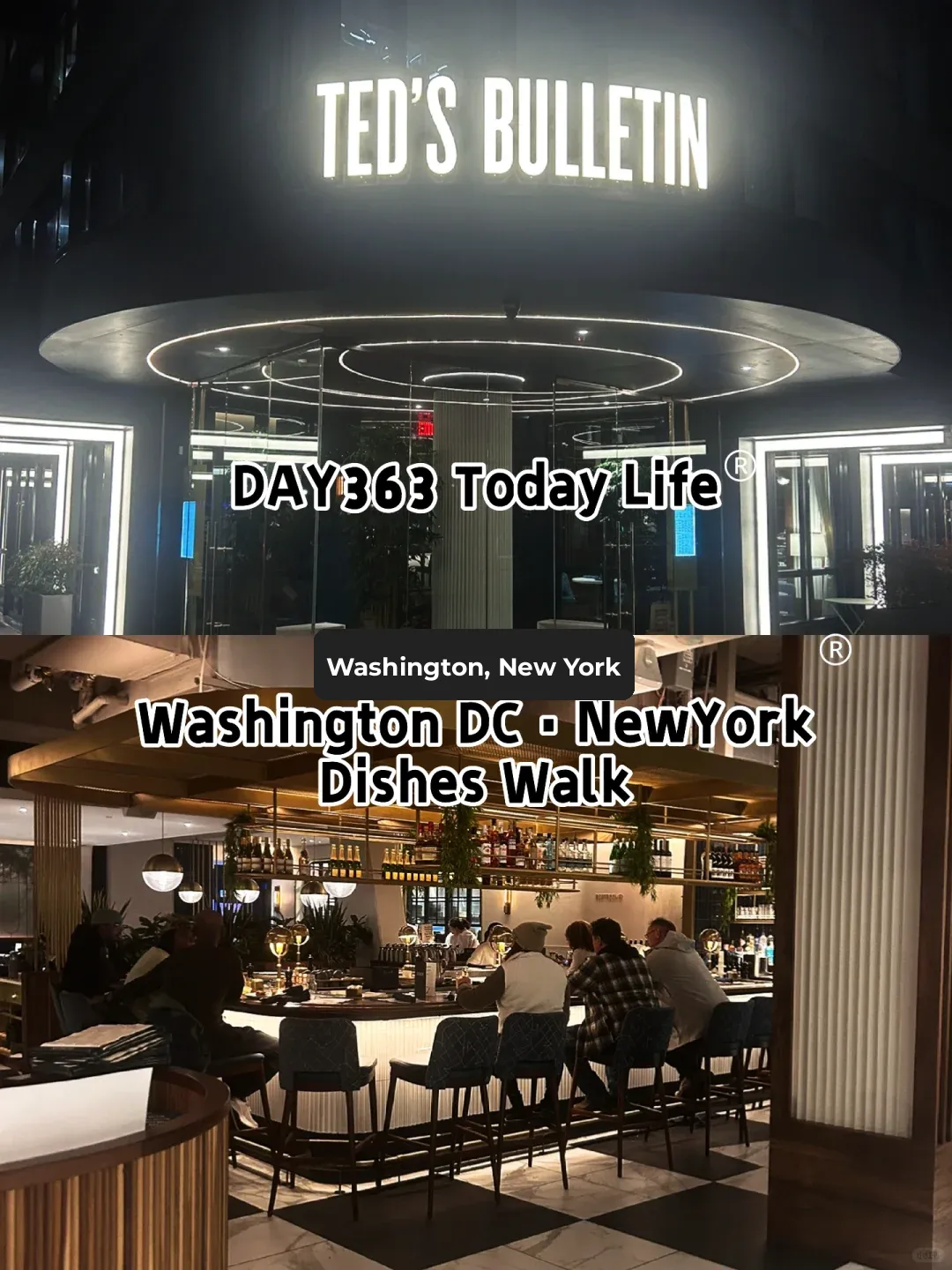 Day 363: Joint PhD Training | Washington & NYC Gourmet Walk